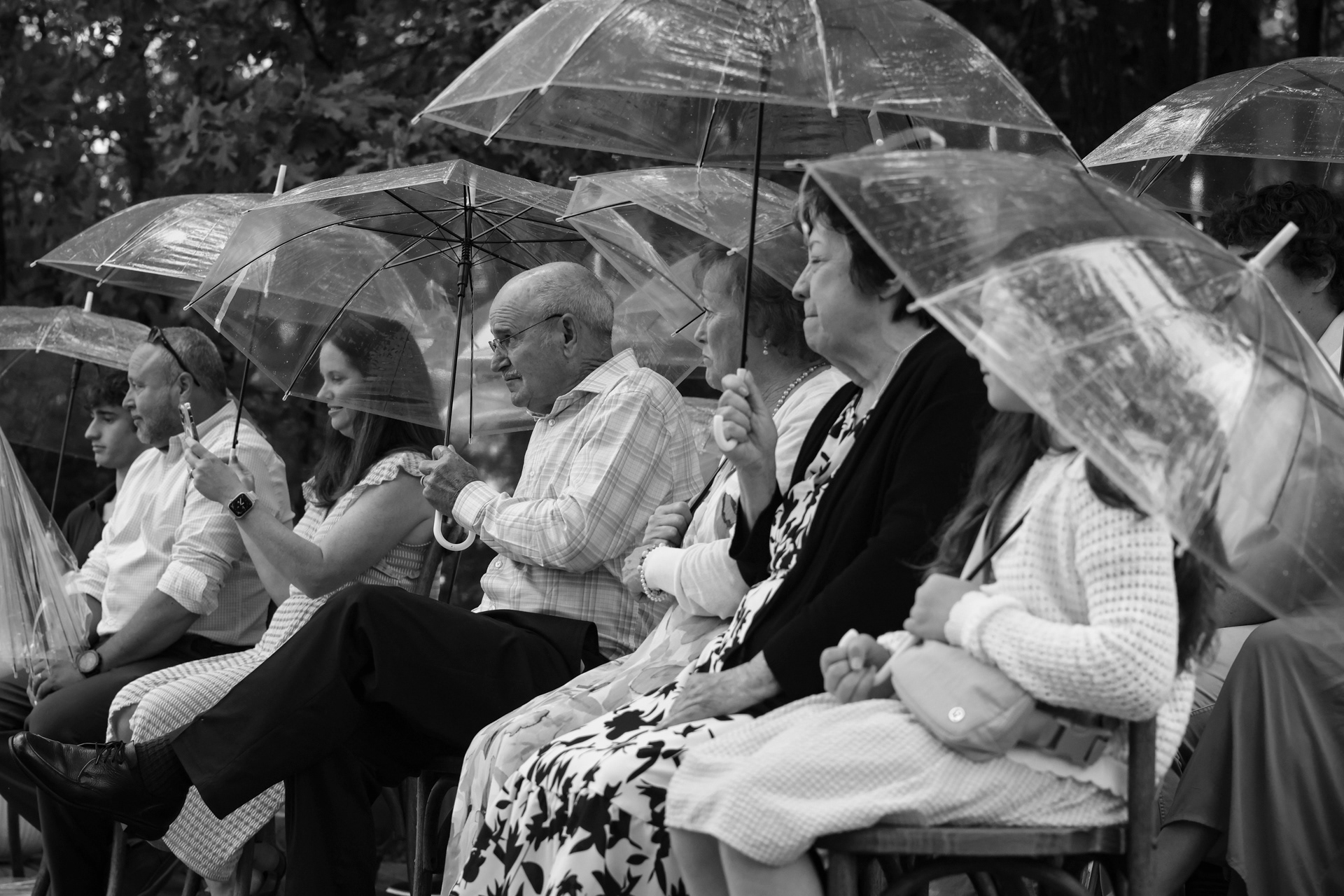 Gold Wedding- May 2025