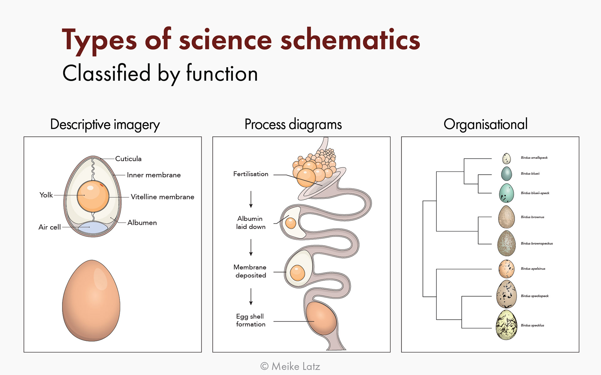 Types of schematics