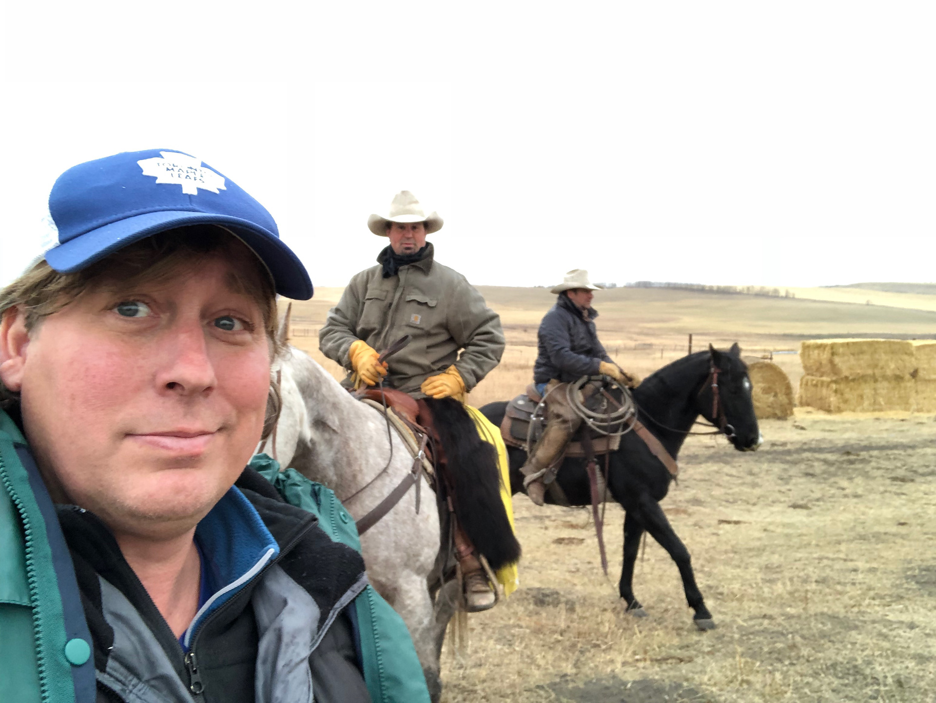 Rustling Bison for Canadian Tire commercial in Alberta