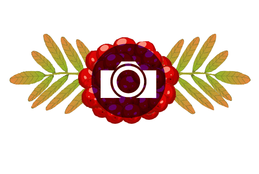 Clark Rowan Photography