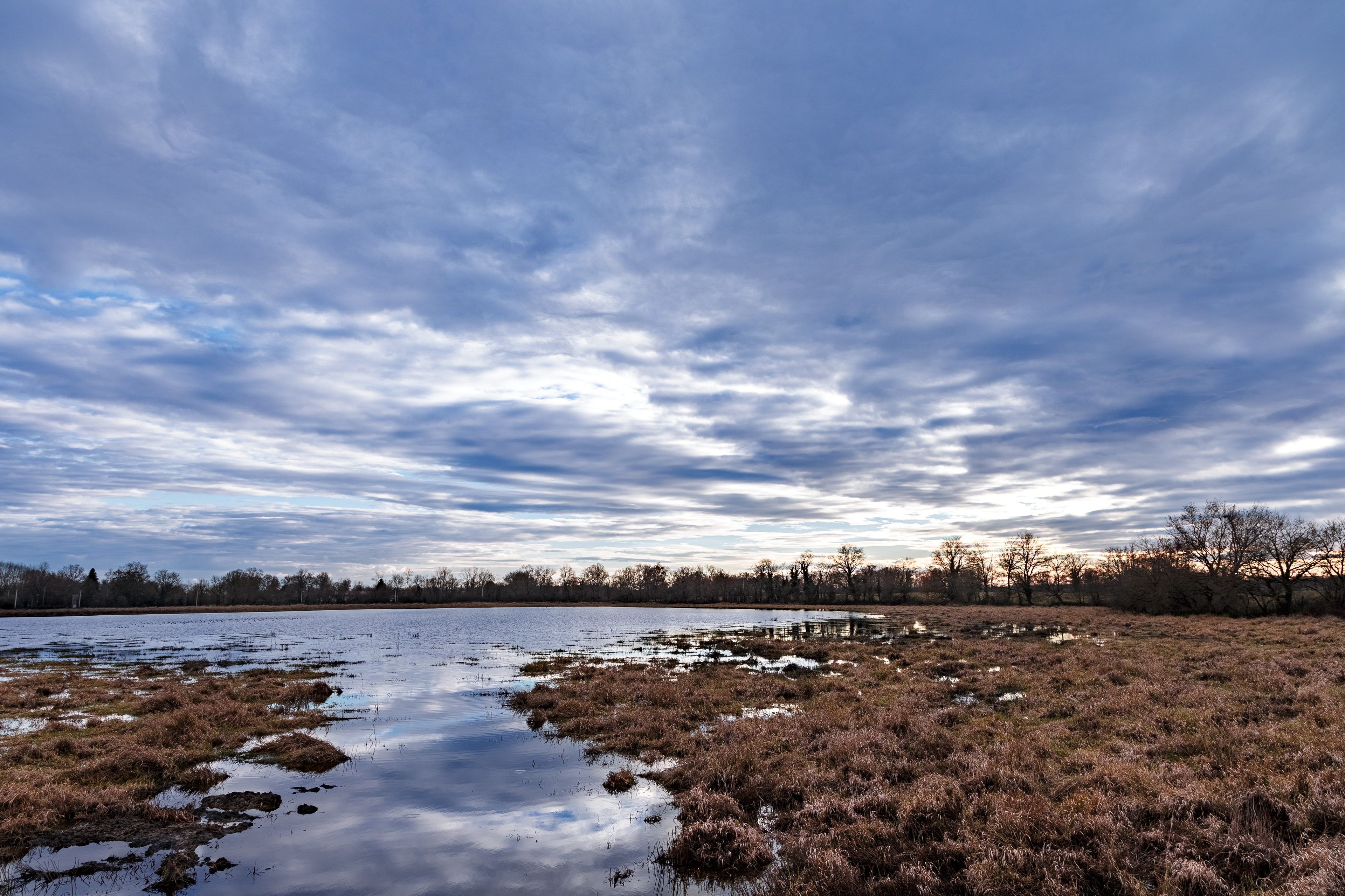 Etang 1