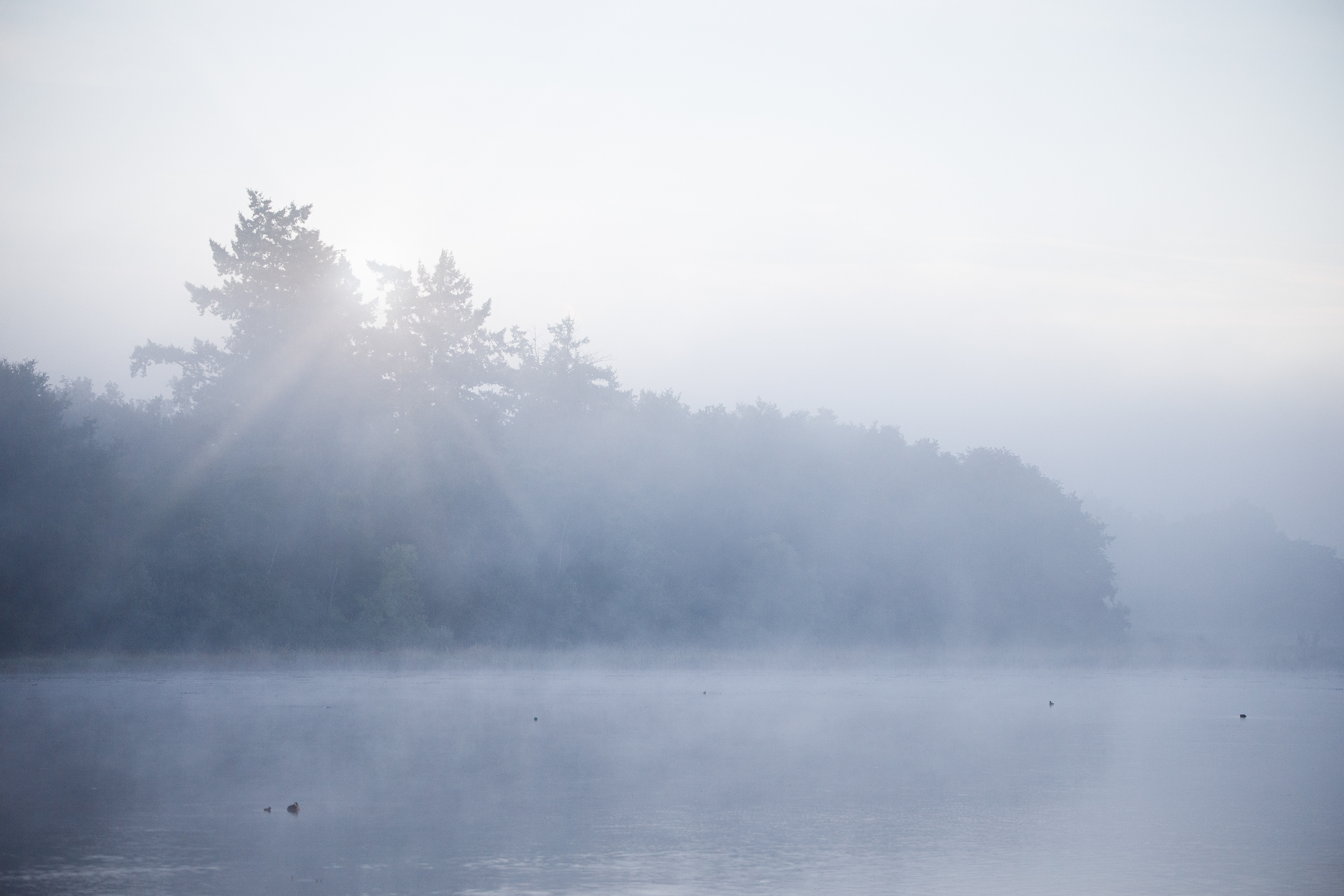 La brume Dombiste 5