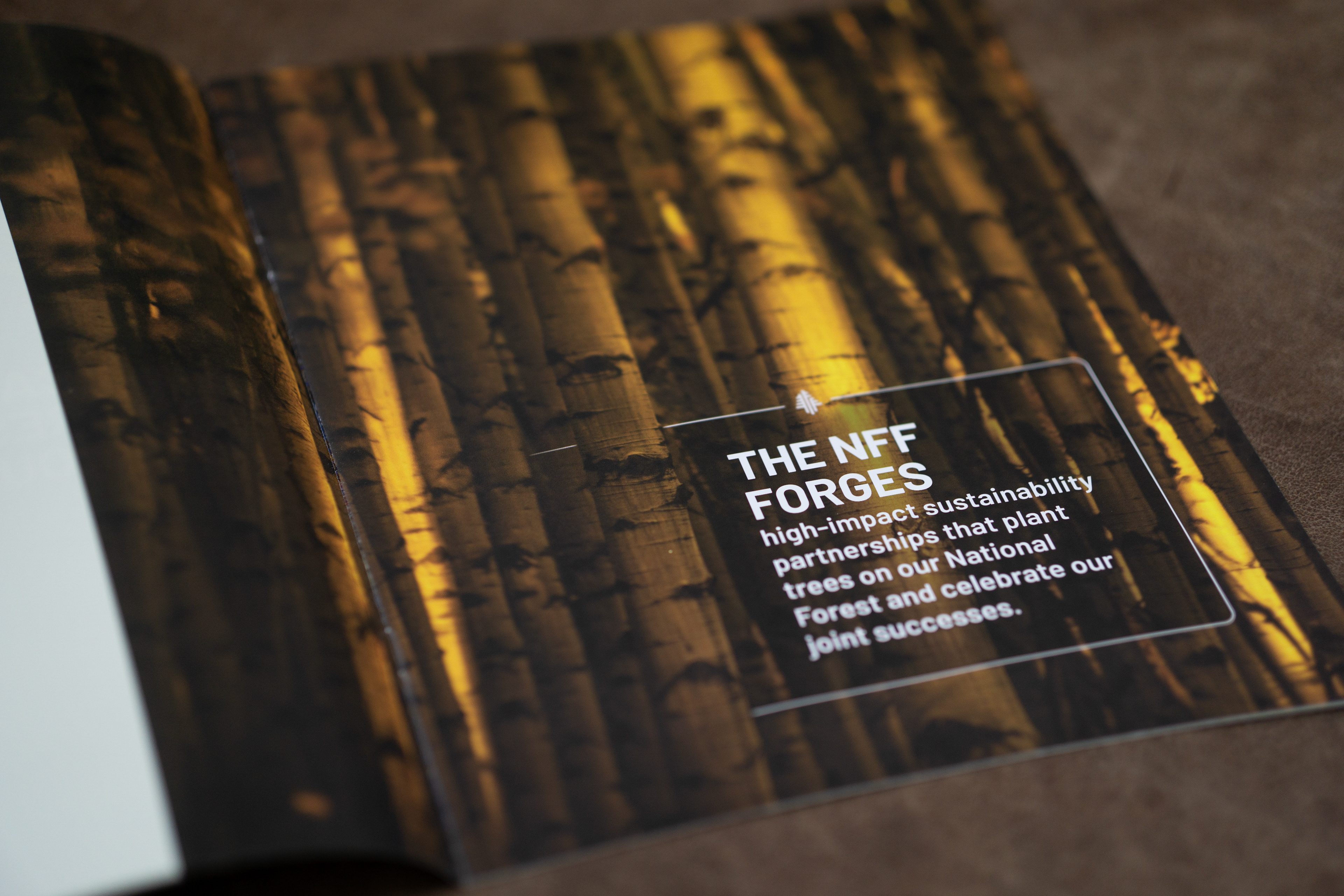 National Forest Foundation, 50 Million for Our Forests Campaign booklet spread