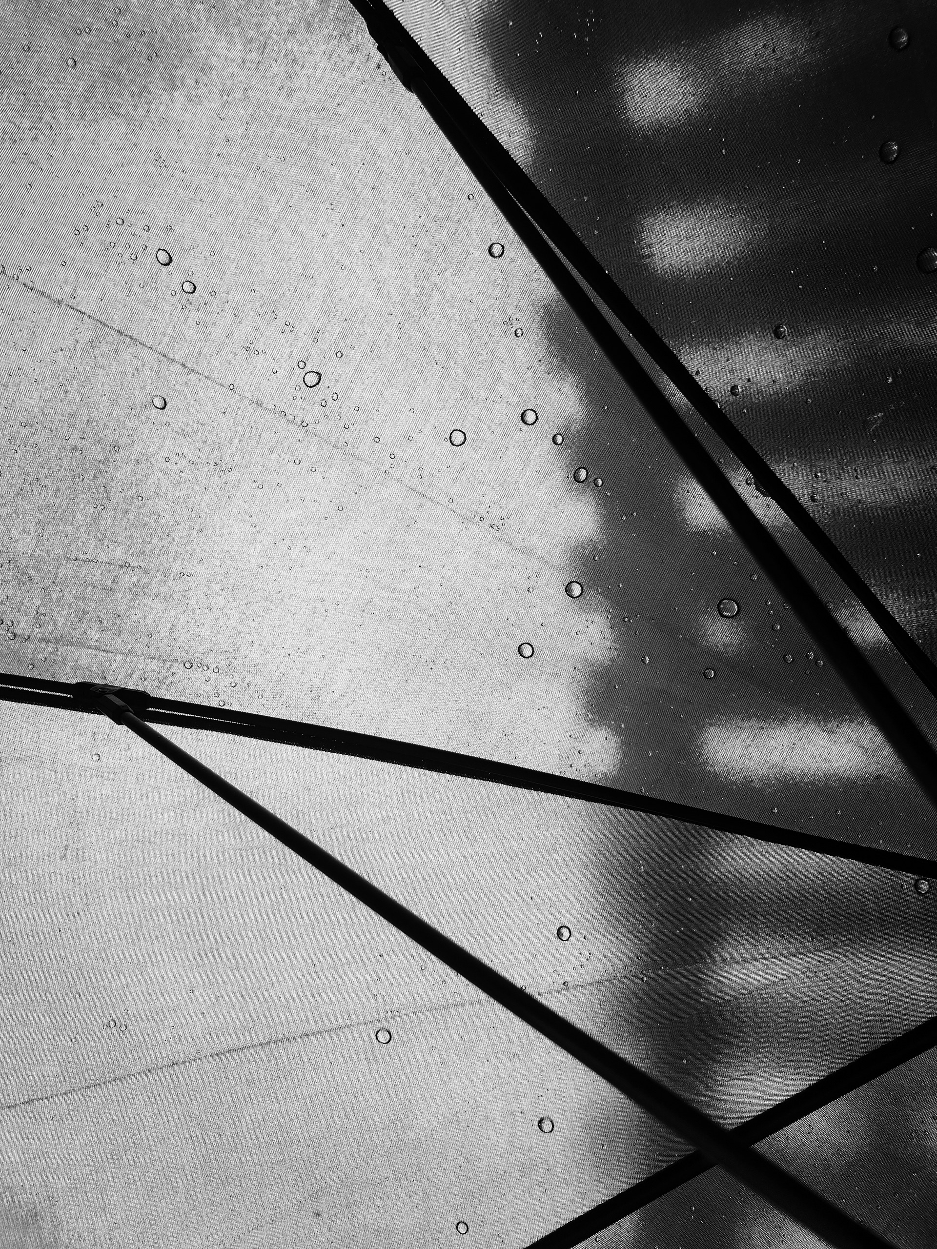 It's Raining