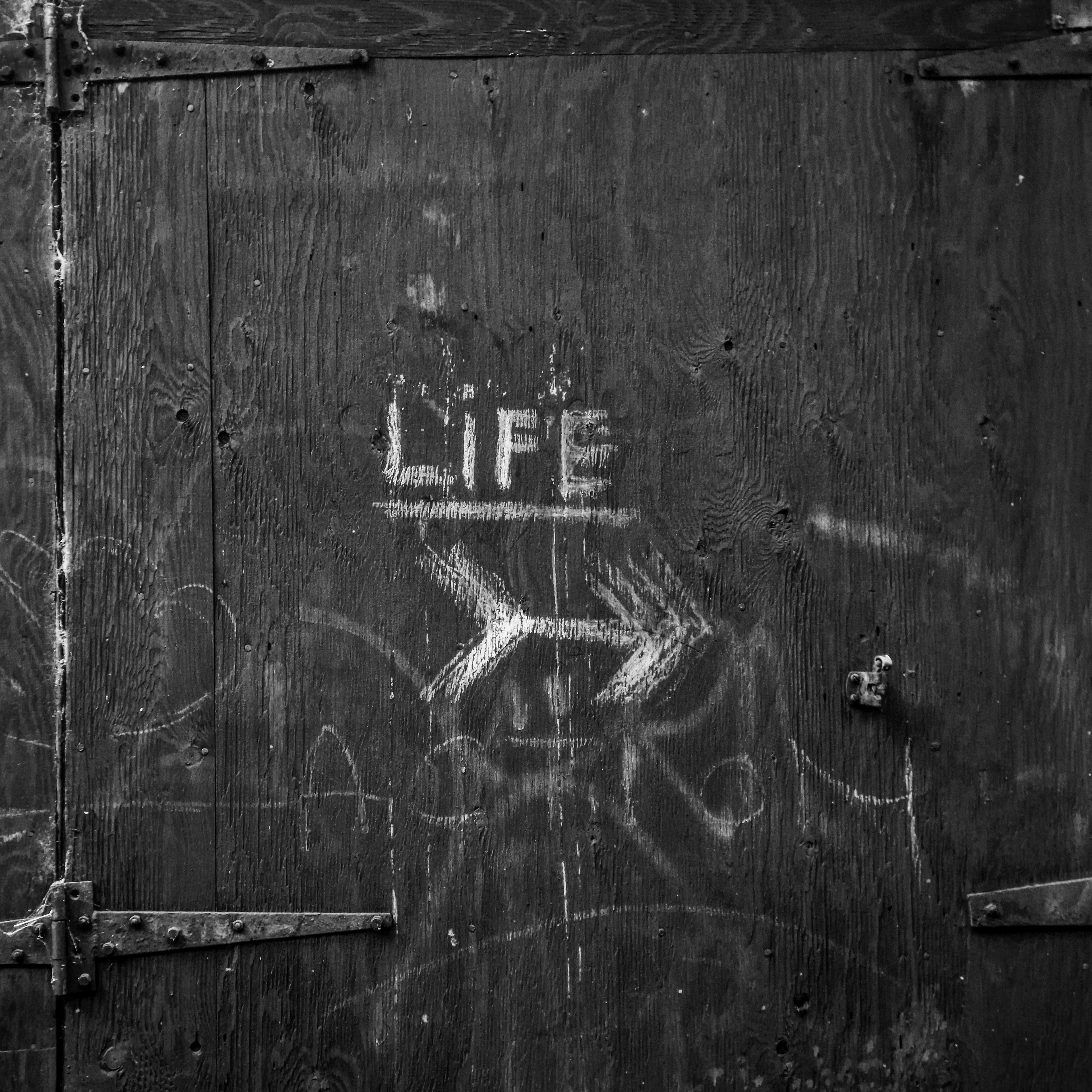 This Way I Guess?