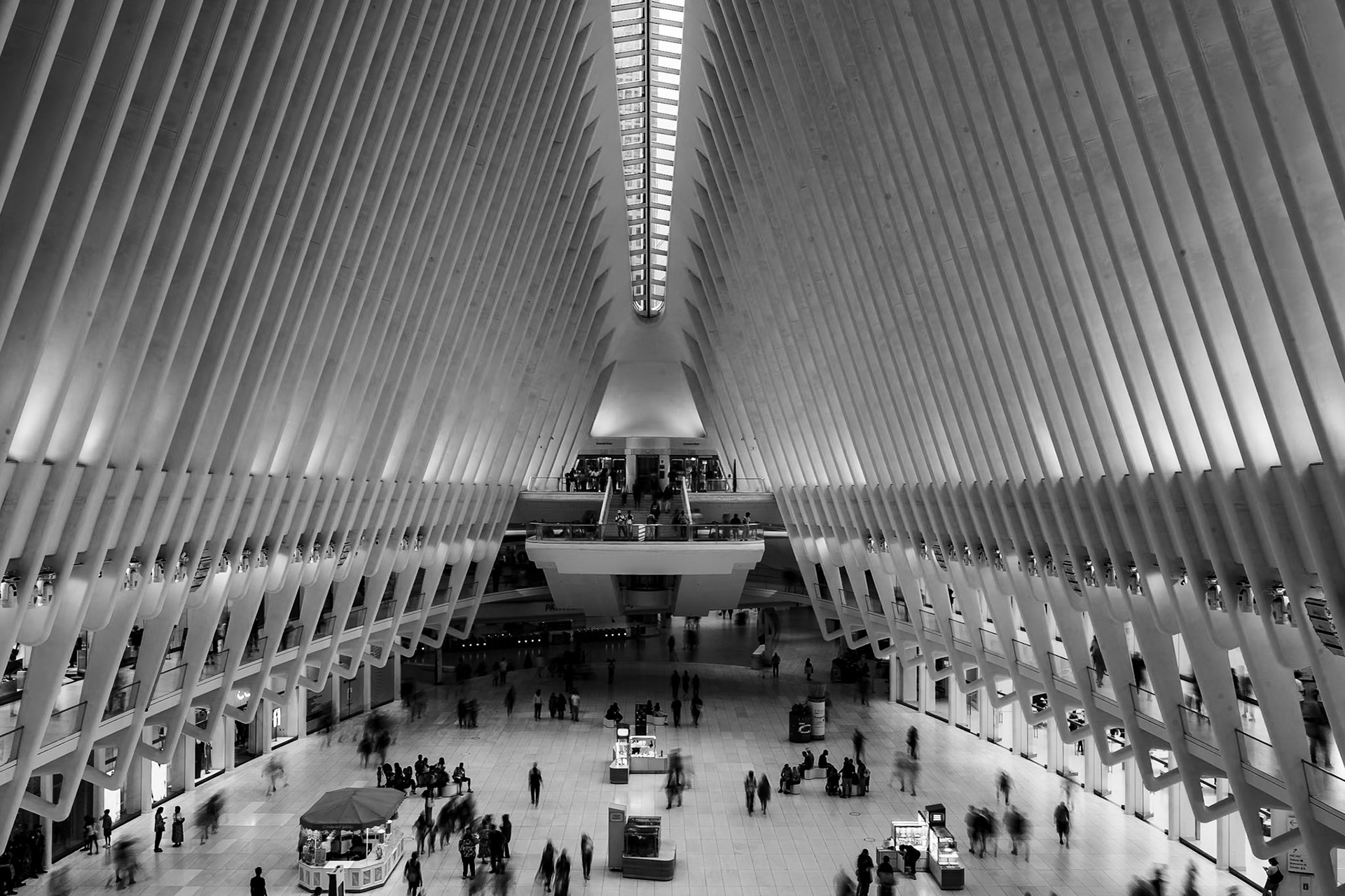 New York, USA