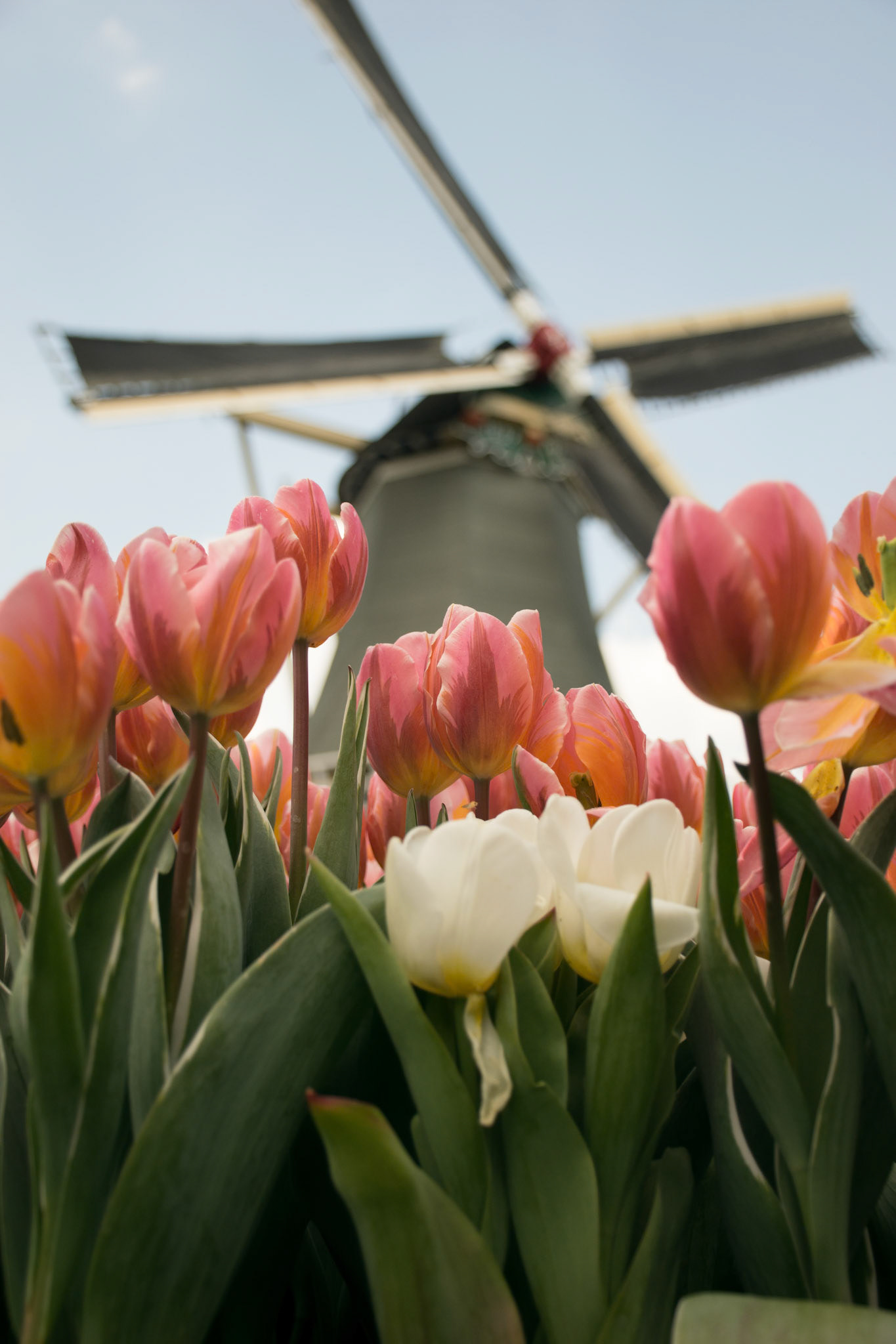 Amsterdam, Netherlands