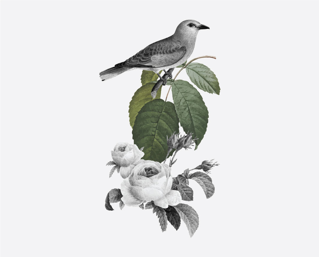 branding imagery