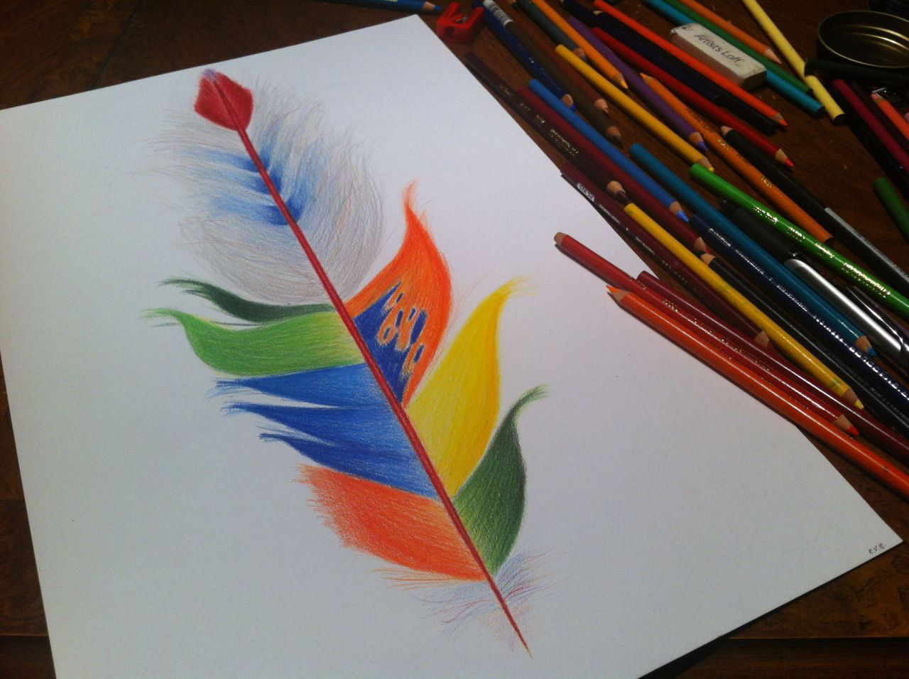 Feather #2, or The Old Boar Hunter • Prismacolor Pencils • 9" x 17"
