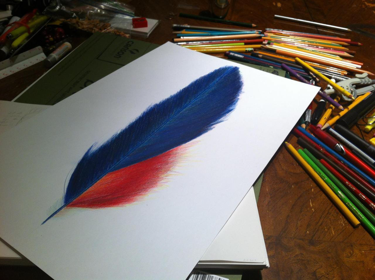 Feather #1 • Prismacolor Pencils • 9" x 17"