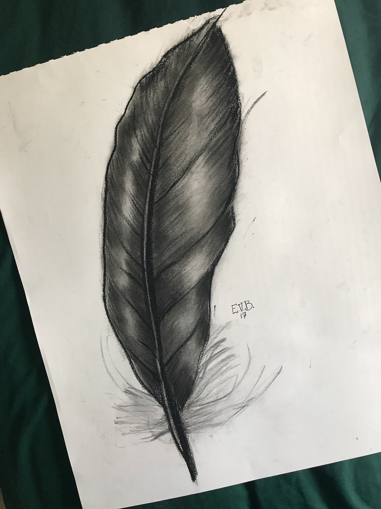 Feather #12 Sketch • Charcoal
