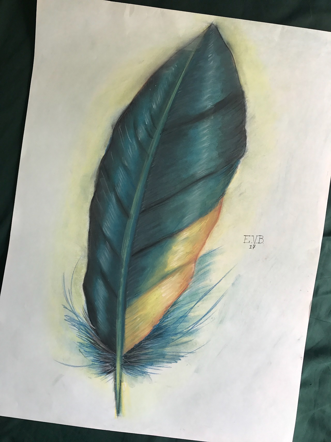 Feather #12 • Pastels & Charcoal