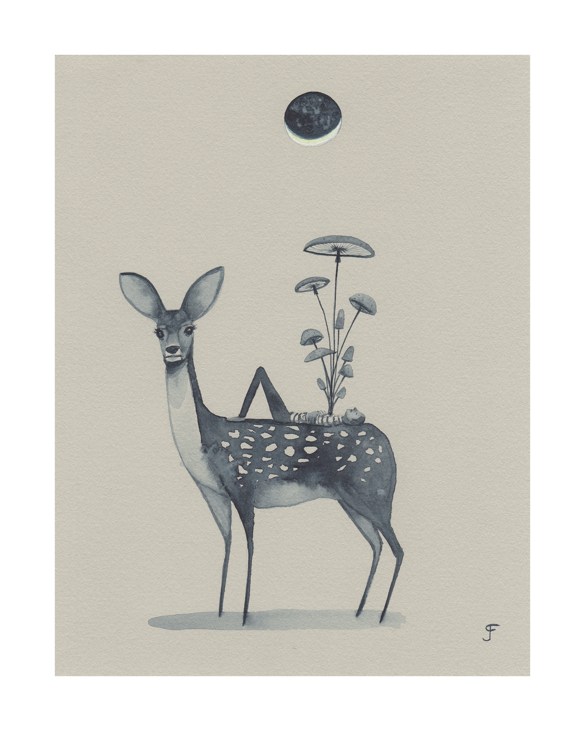 "Last Sliver of Moonlight"