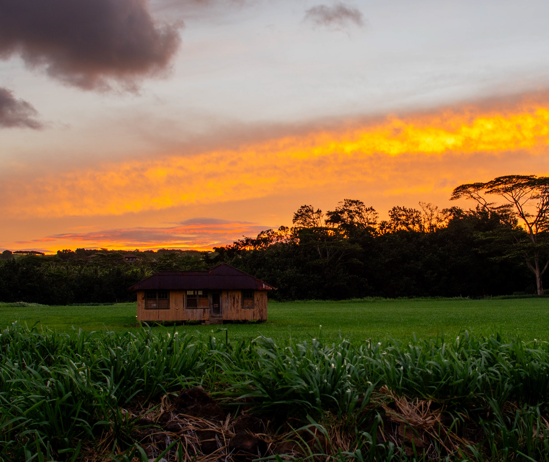 A ranch house off a backroad in Poipu, Kauai 2024