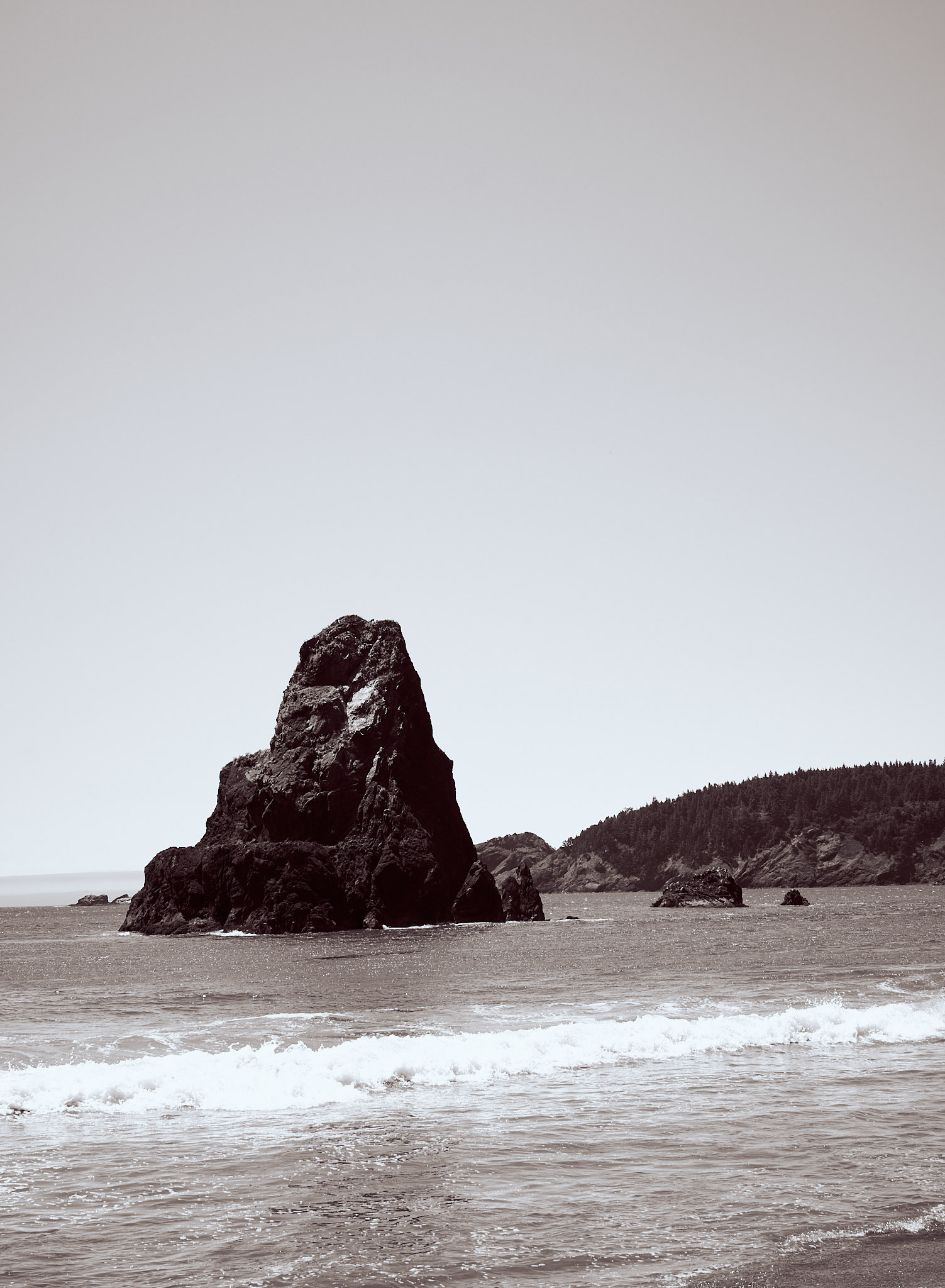 Oregon Coast, 2023