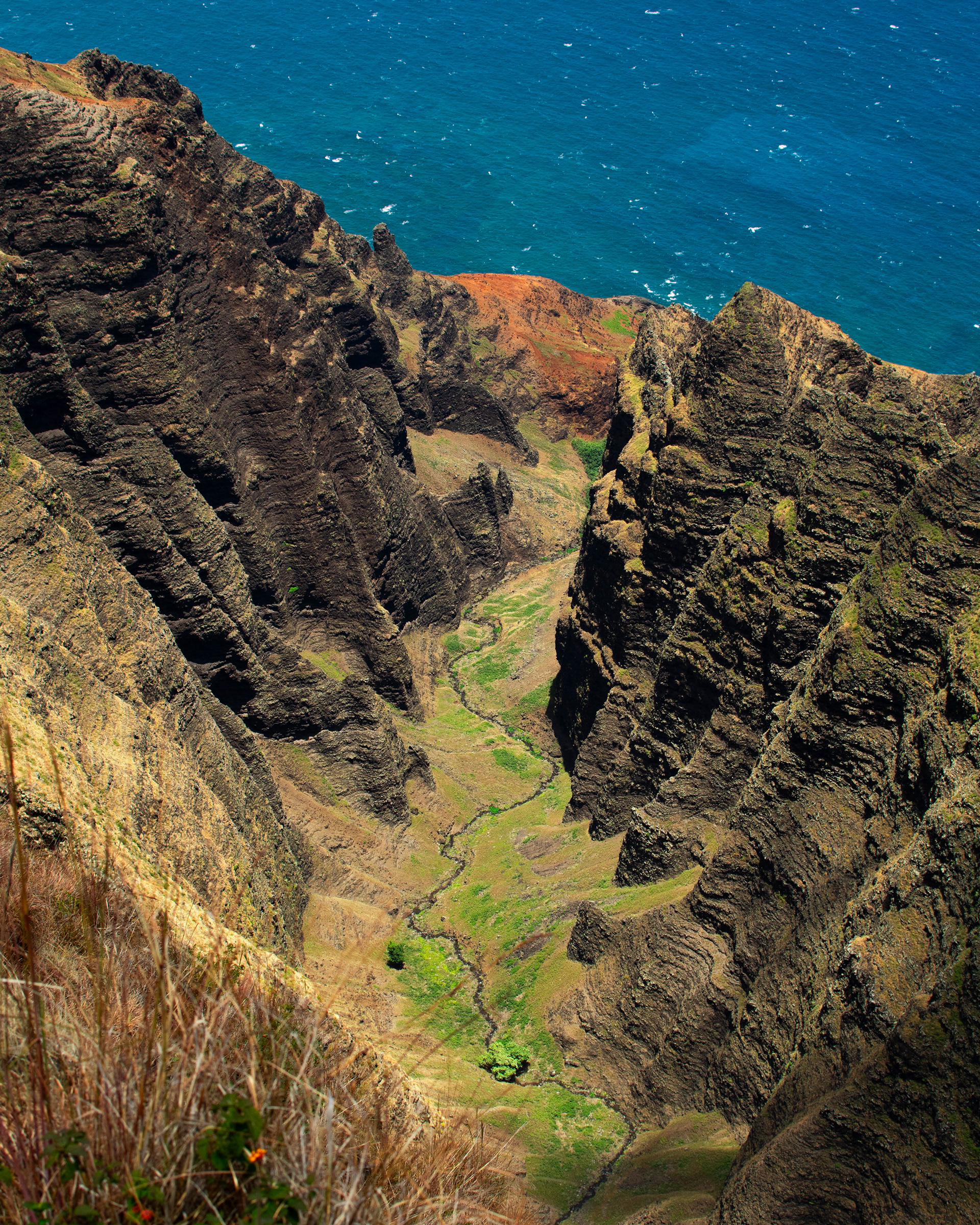 Napali Coast from Awa'awapuhi Trail, Waimea Canyon, Kauai 2024