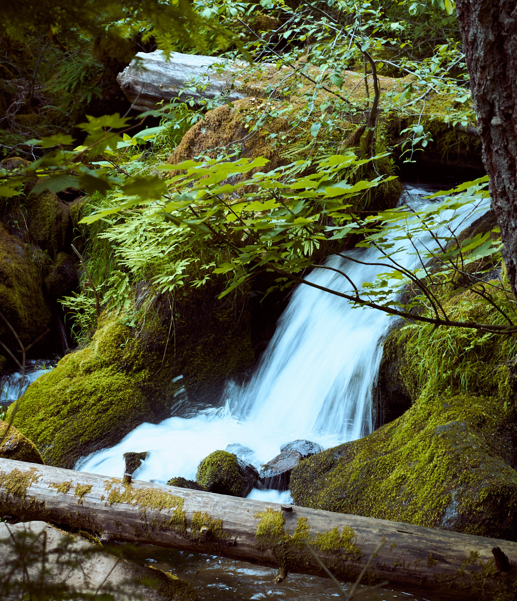 Watson Falls, Oregon 2023
