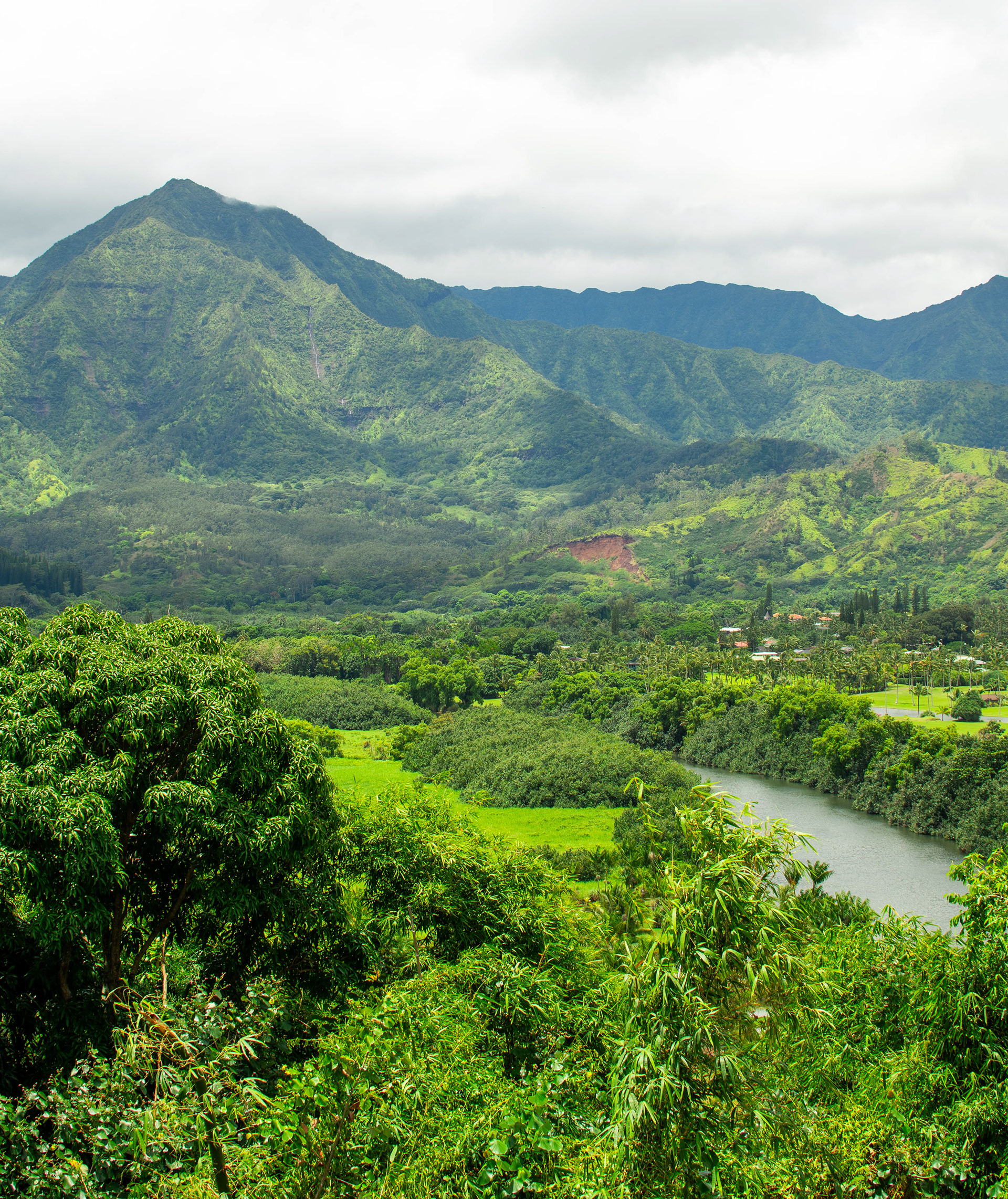 View from a Smoothie Stand Princeville, Kauai 2024