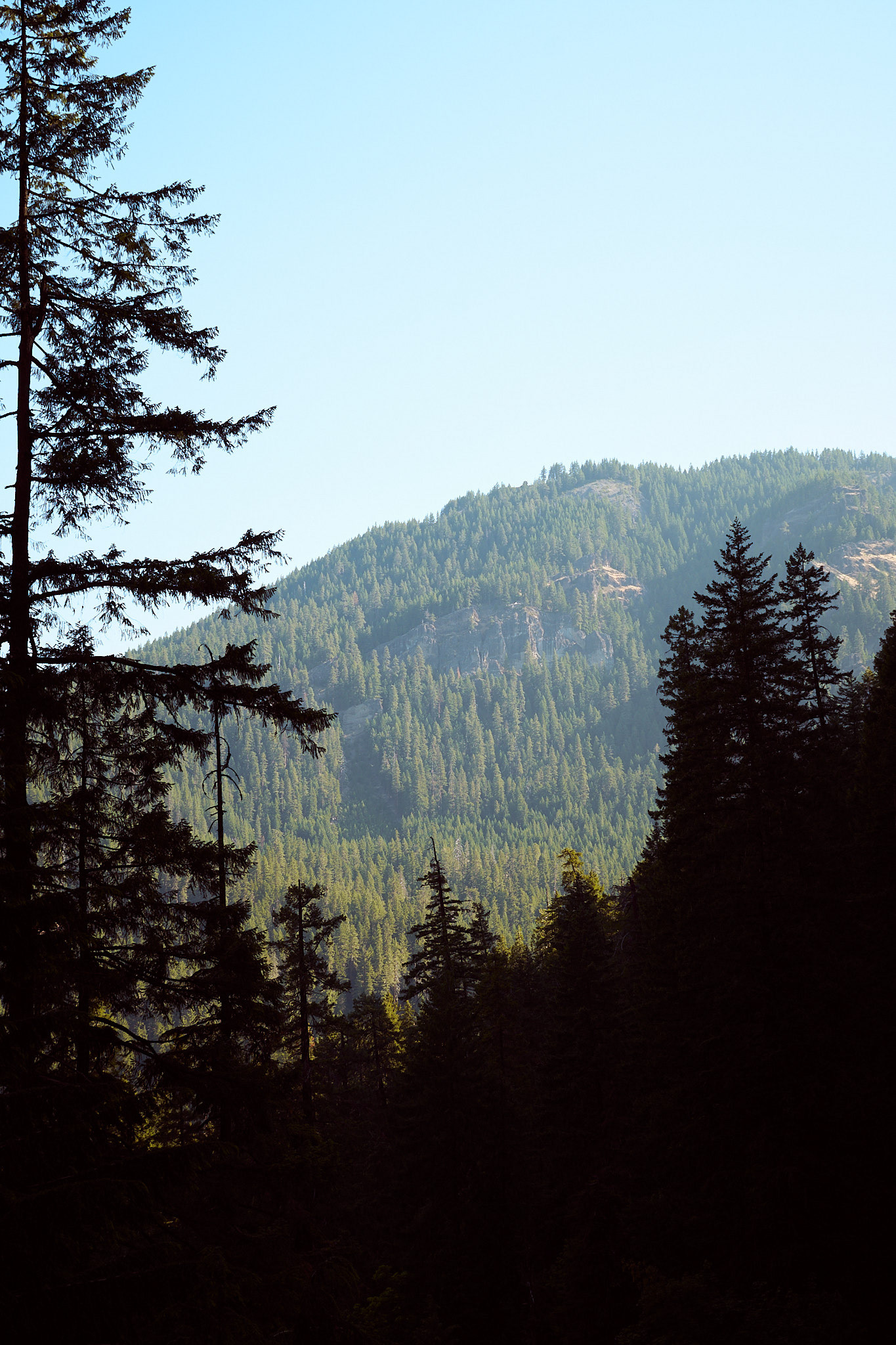 A Mountain Side in Oregon, 2023