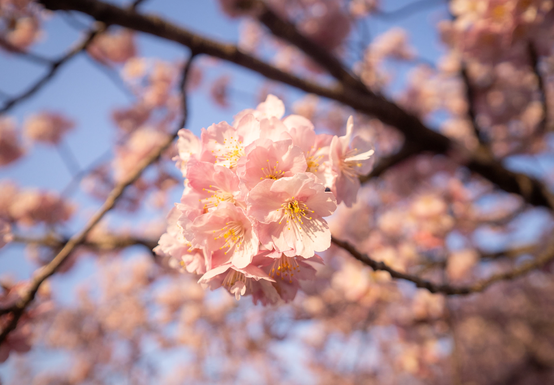 Utsunomiya Castle Ruins