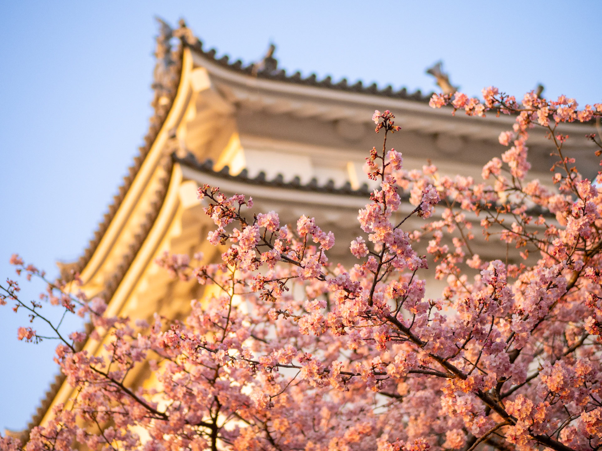 Utsunomiya Castle Ruins