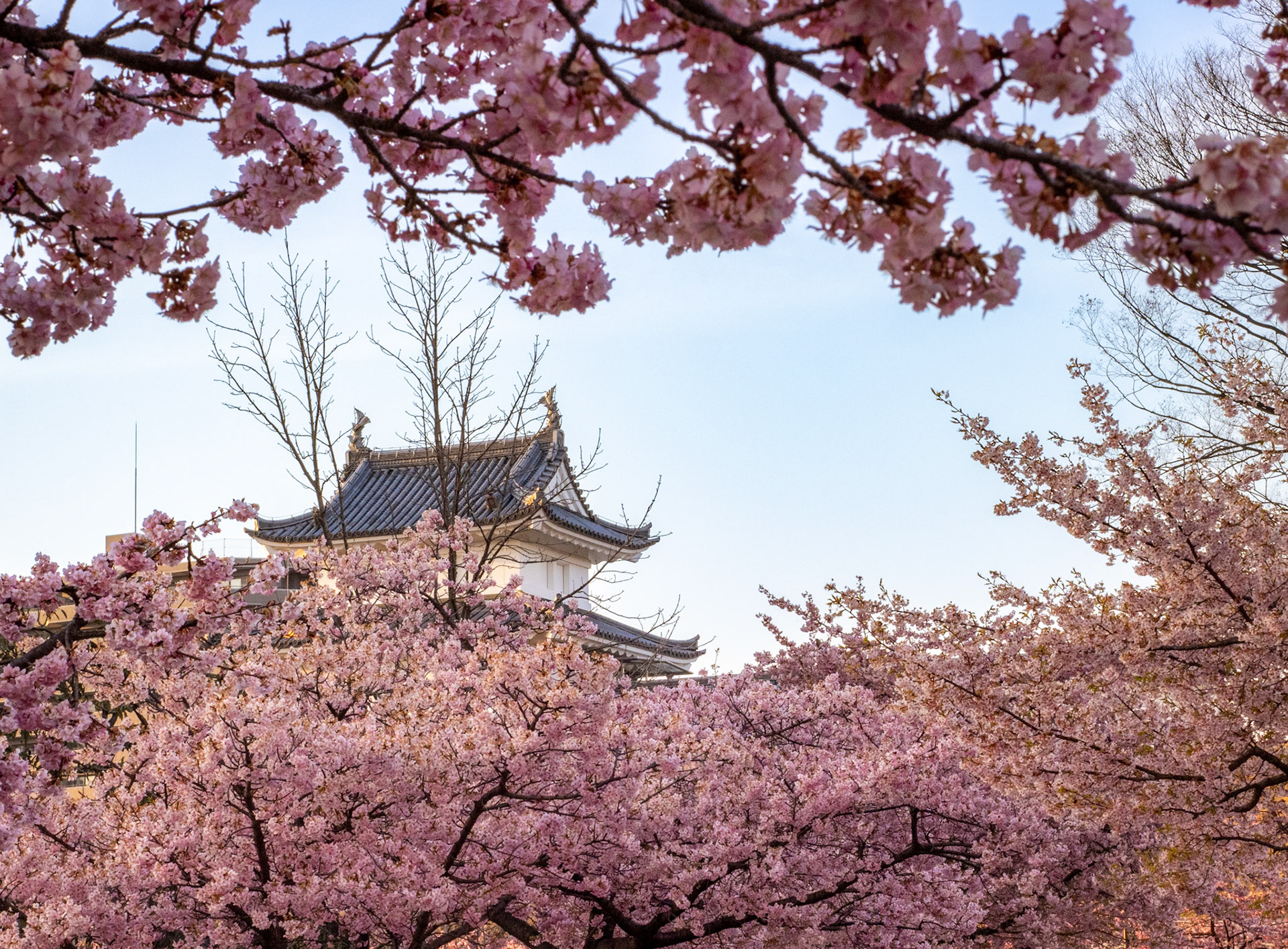 Utsunomiya Castle Ruins