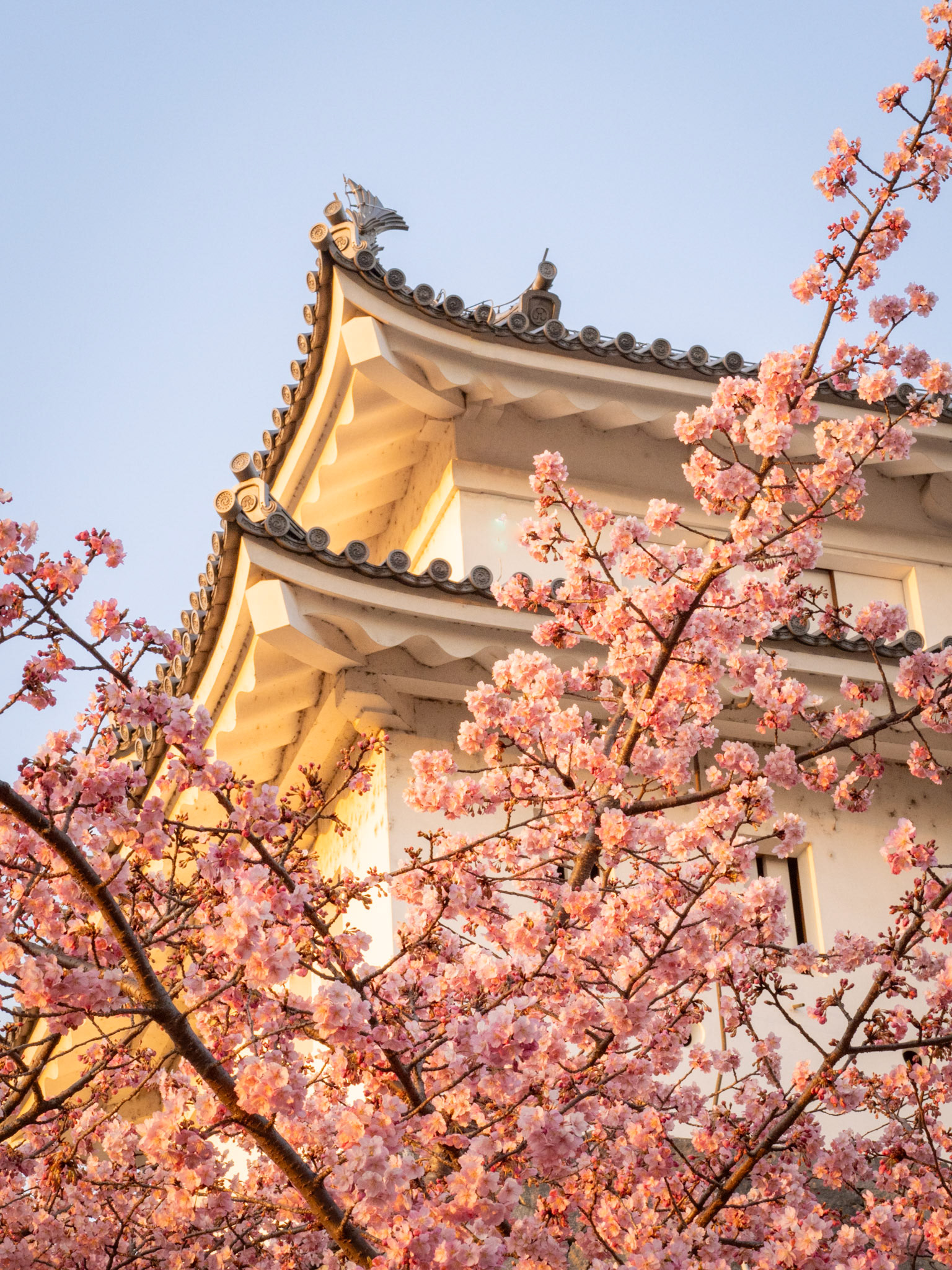Utsunomiya Castle Ruins