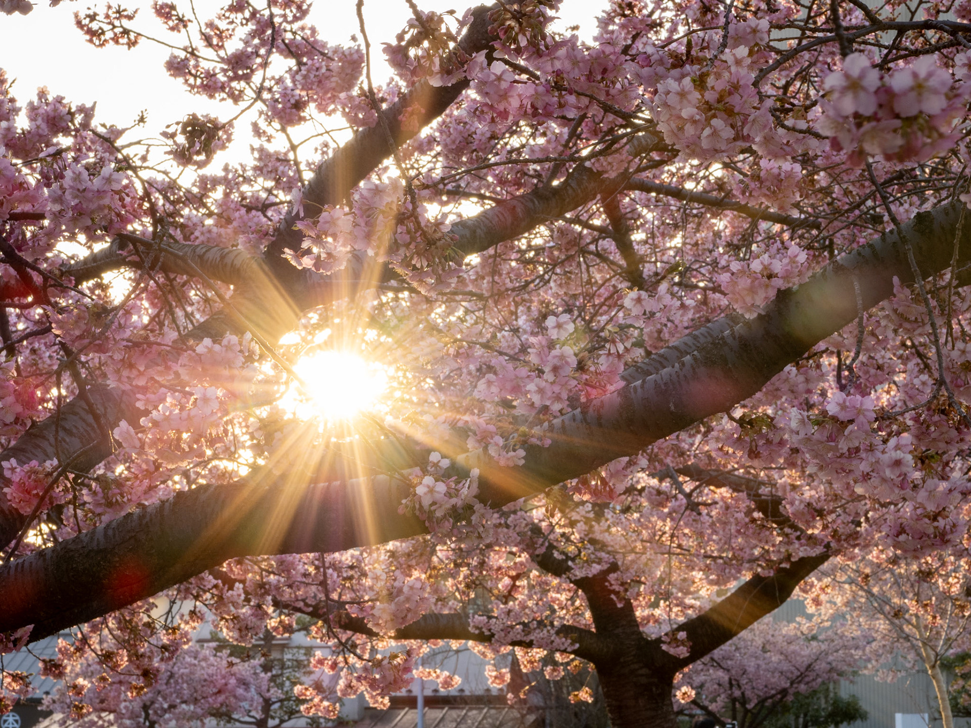 Utsunomiya Castle Ruins