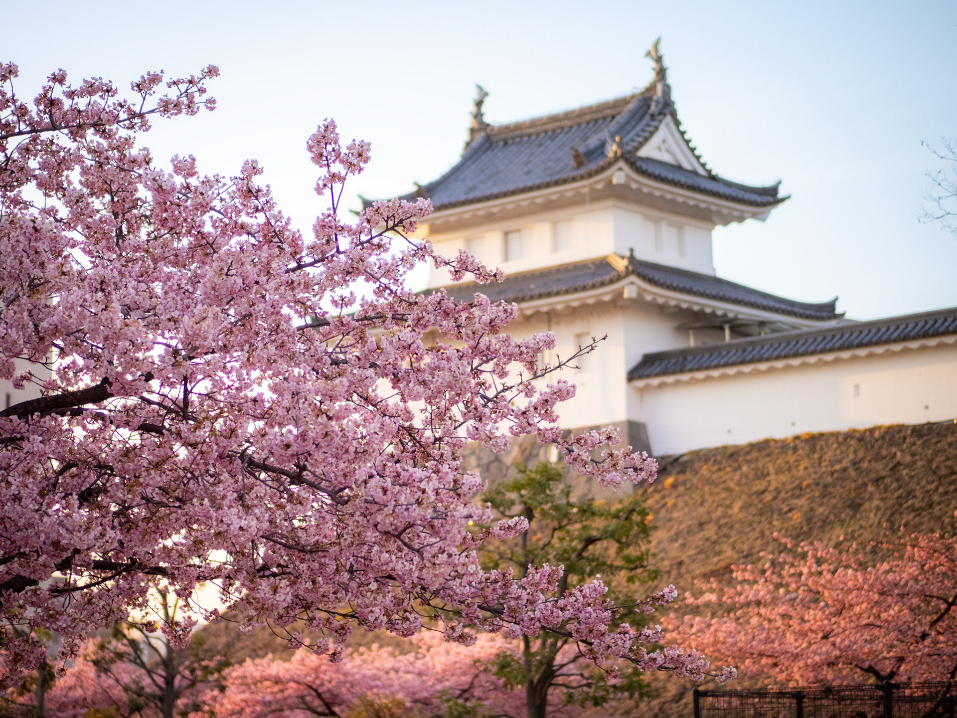 Utsunomiya Castle Ruins