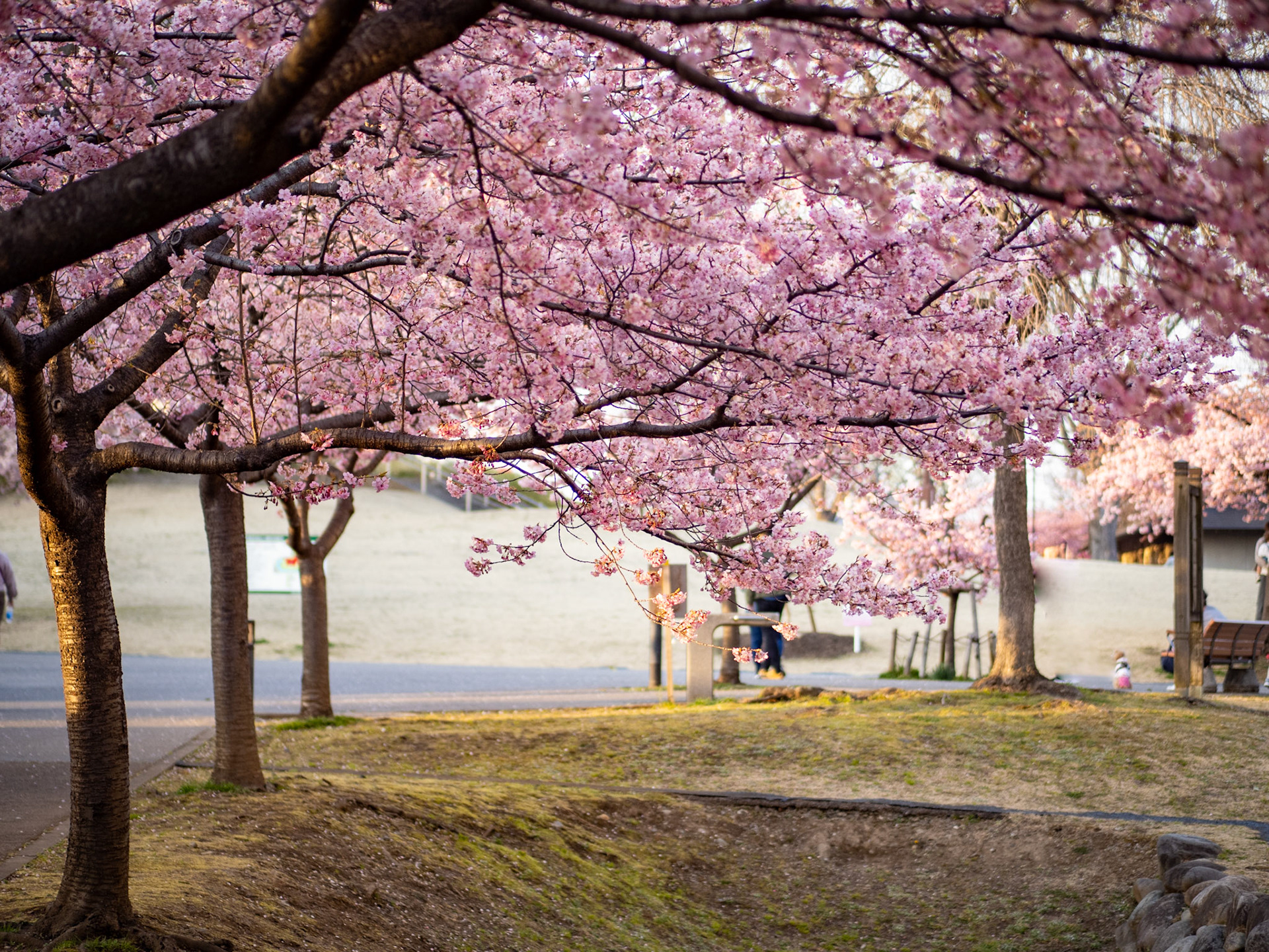 Utsunomiya Castle Ruins