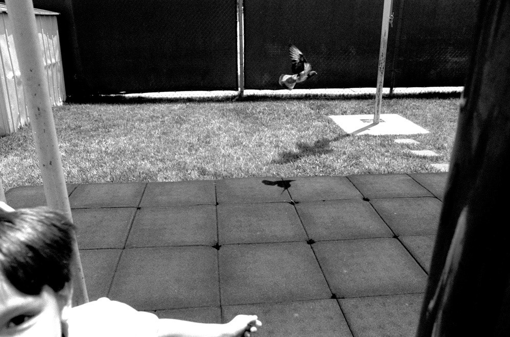 Recess I, Merdinian Armenian School, Van Nuys