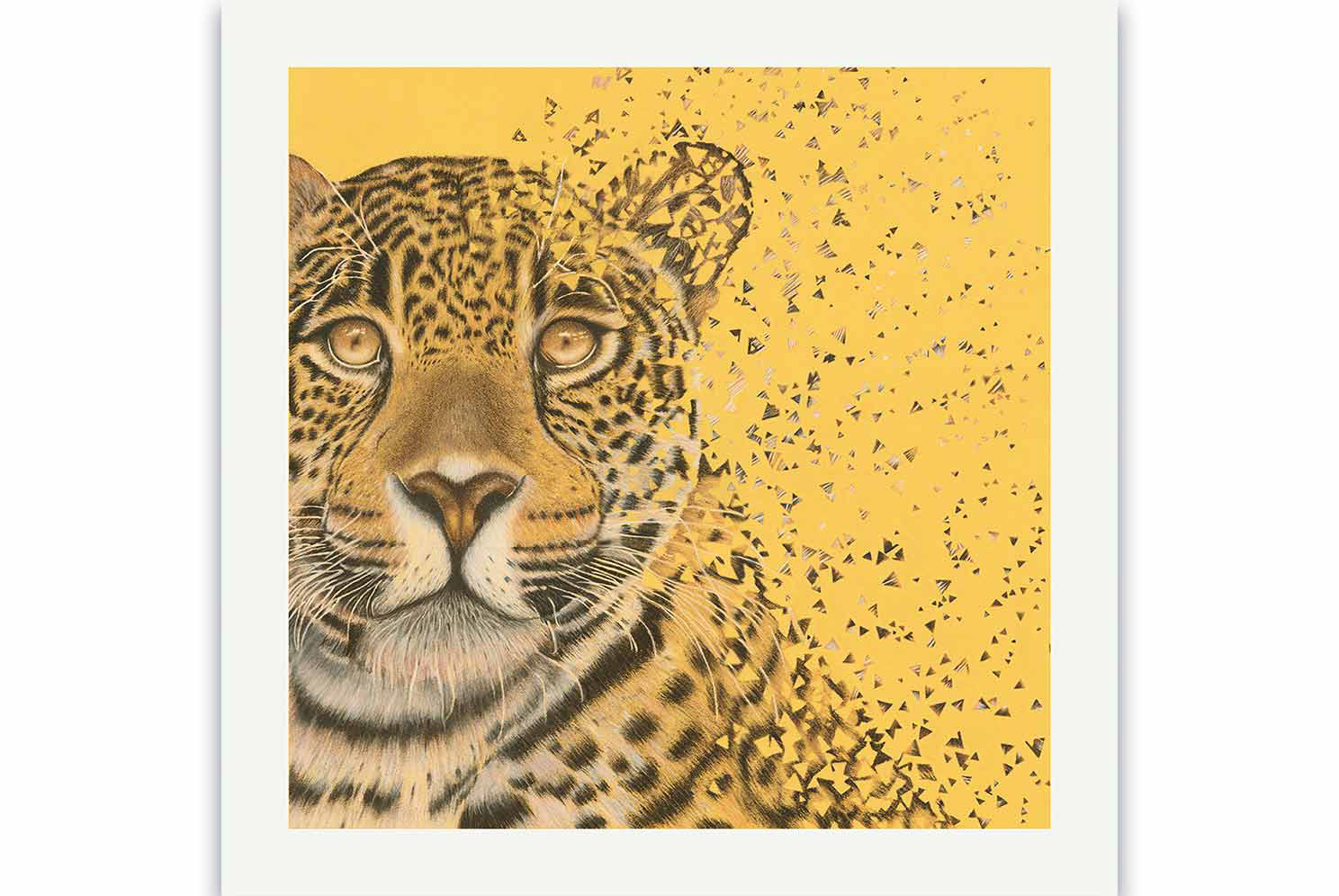 Fine Art Print, Retrato Jaguar con mirada penetrante, desintegrándose al viento, Dibujo a Sepia y Carboncillo, Costa RIca, artista Janid Alfaro