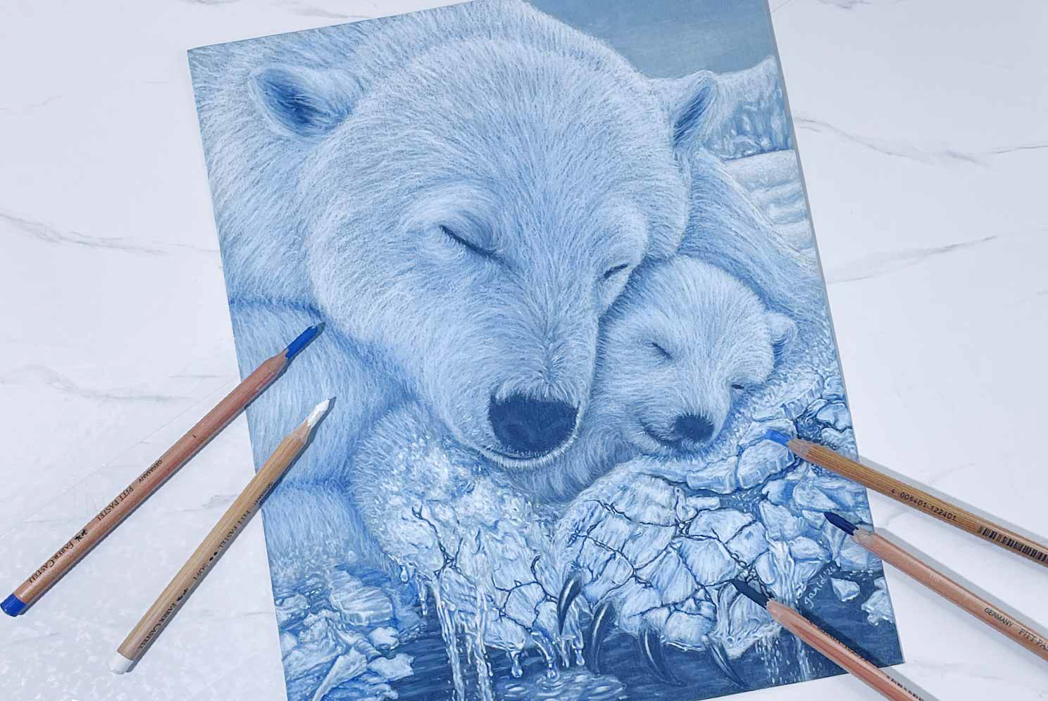 Obras originales y dibujos realistas a lápiz pastel de la Artista Visual UCR Janid Alfaro en San José
