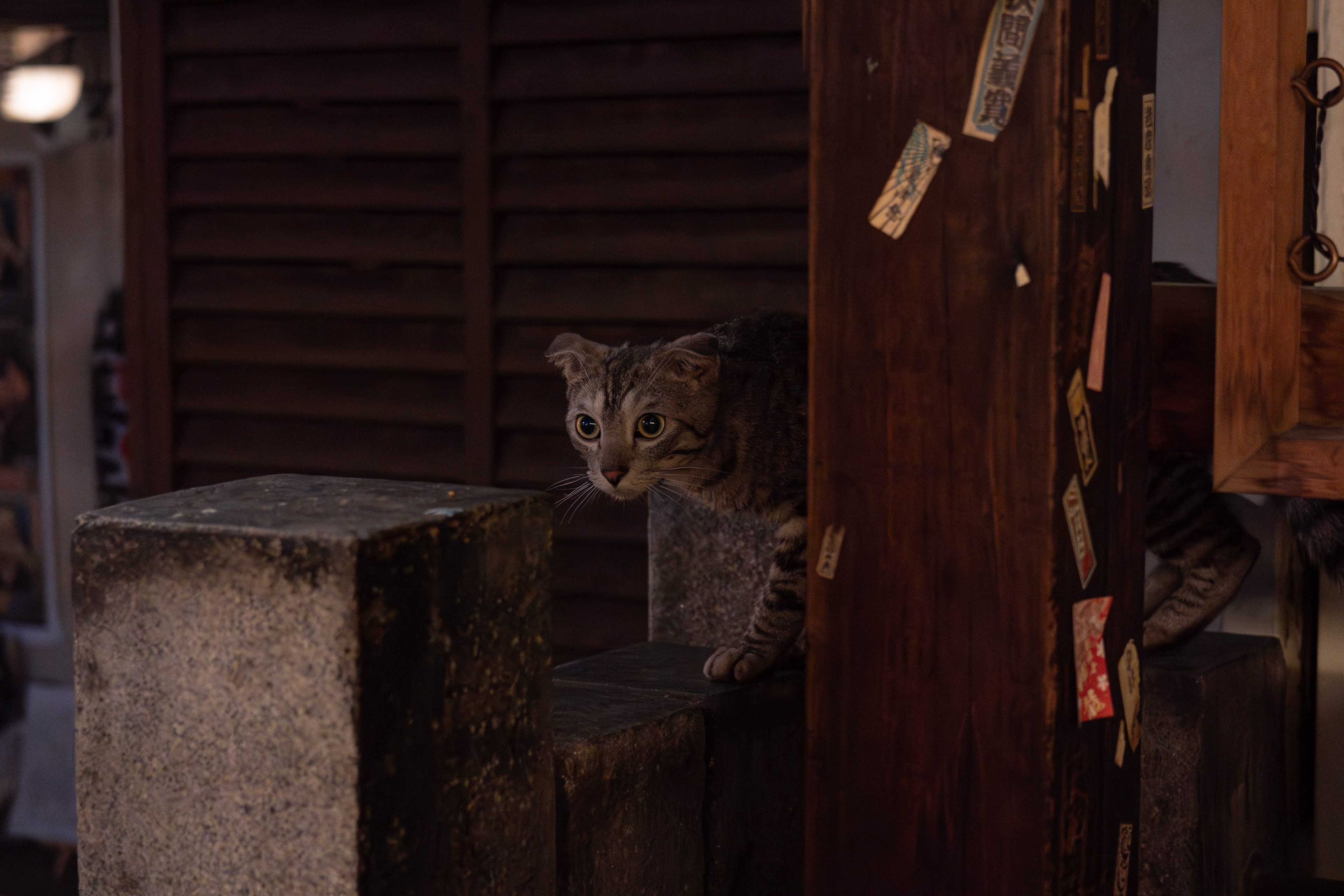 Osaka, Japan