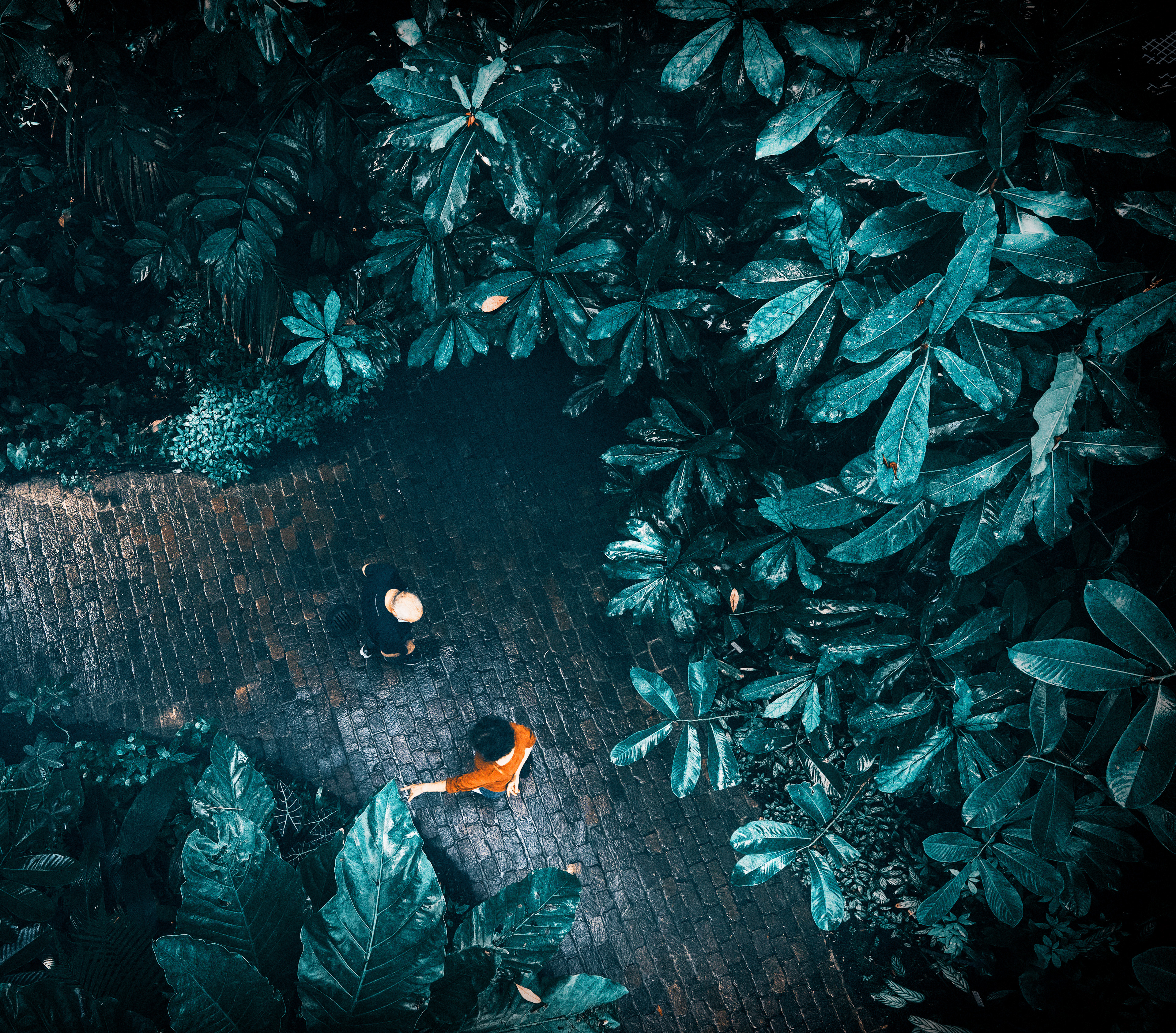 In the jungle
