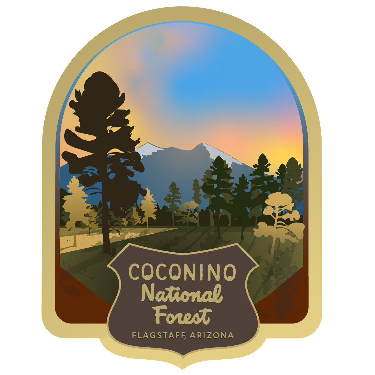 Flagstaff, AZ Coconino National