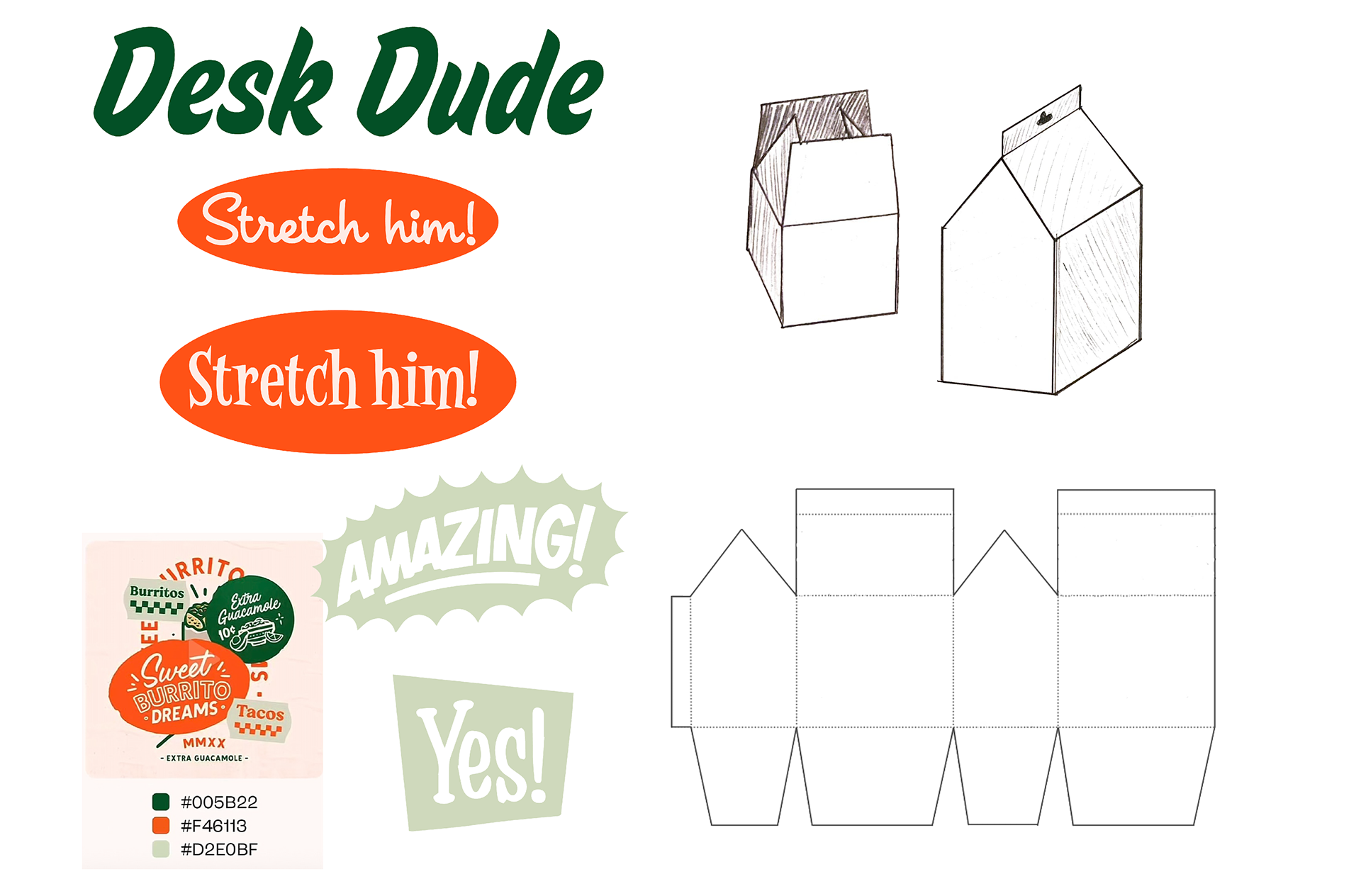 a digital file including the branding, sketches, and design inspiration