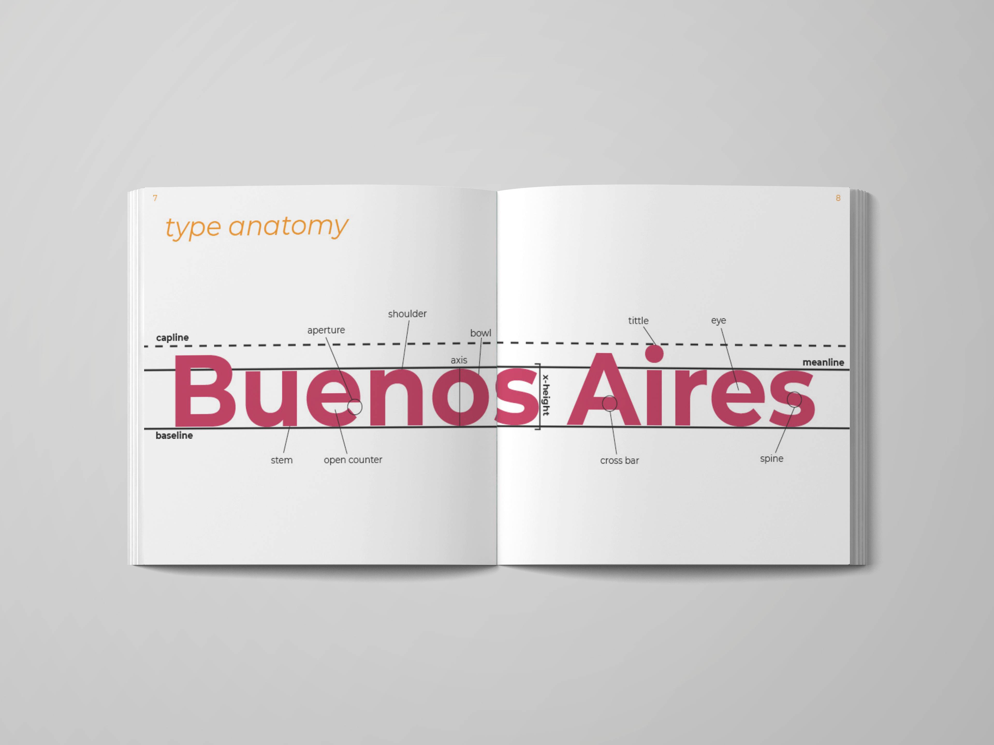 page spread for montserrat type anatomy