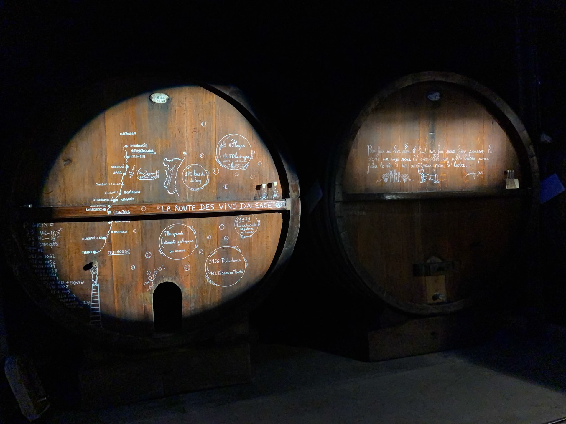 Alsatian Winery Tour