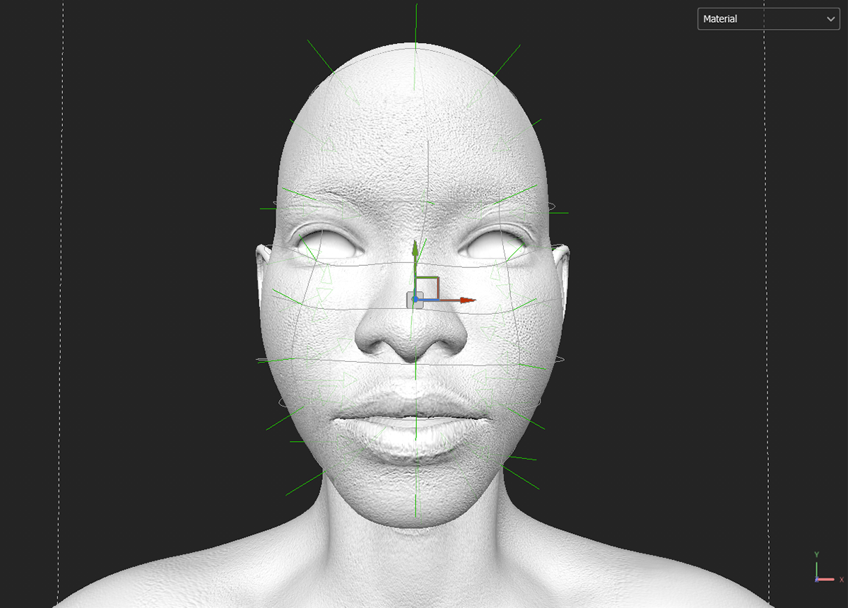 Pore Projection (Front)