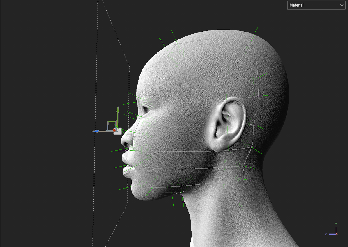 Pore Projection (Side)