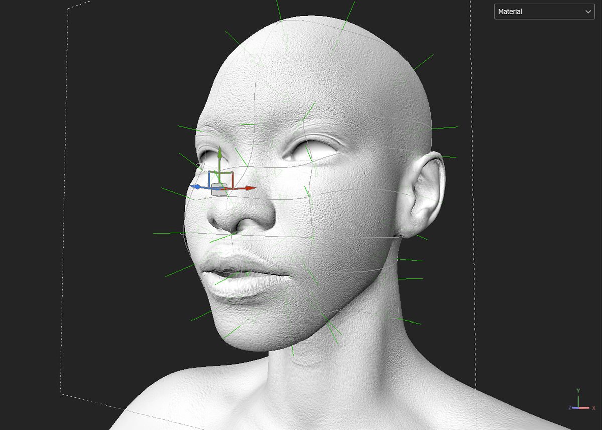 Pore Projection (3/4)