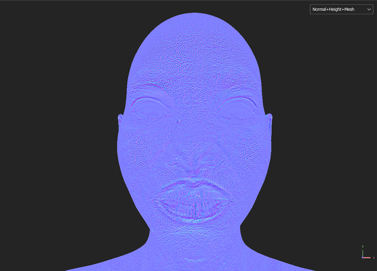 Normal+Height+Mesh