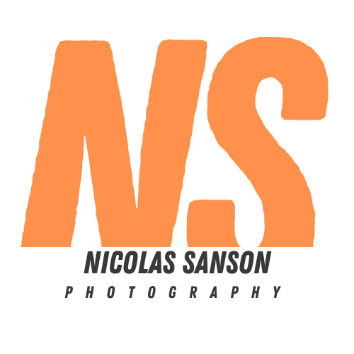 Nicolas Sanson
