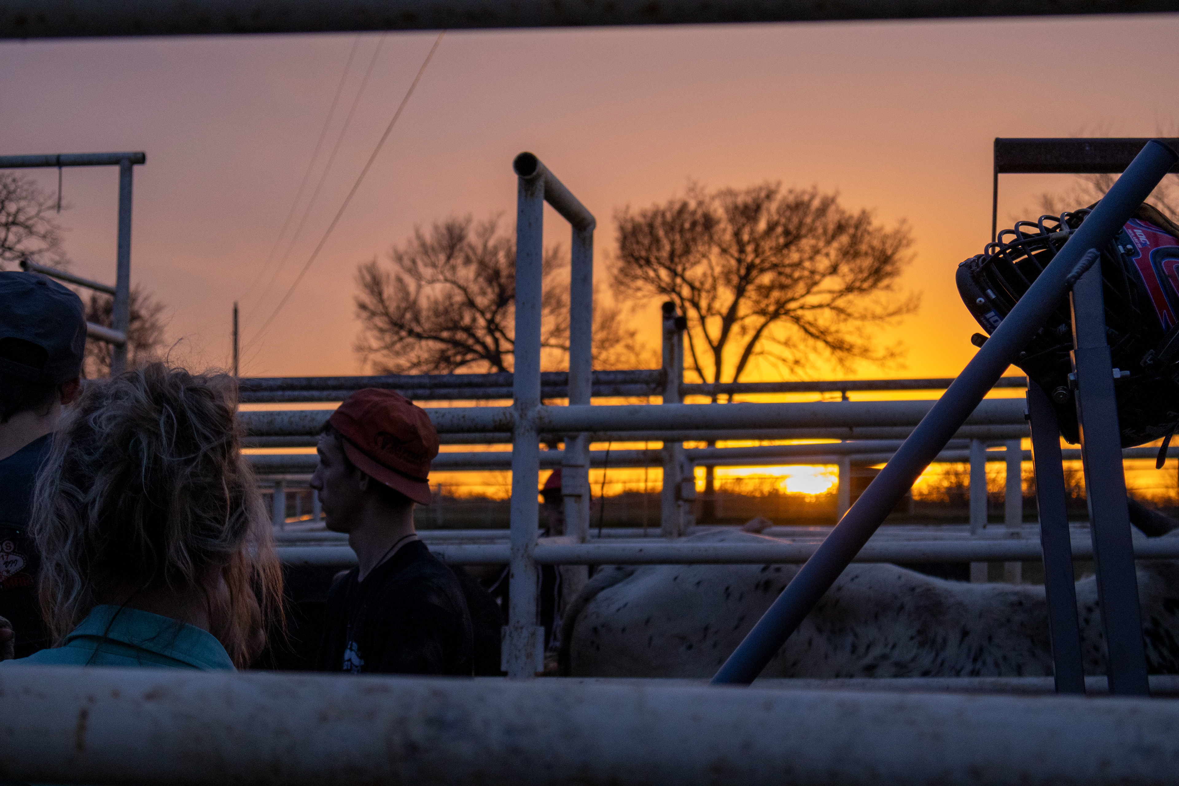 A sunset at 4B Brantley Ranch in Beggs, Oklahoma. Lauren Sicking