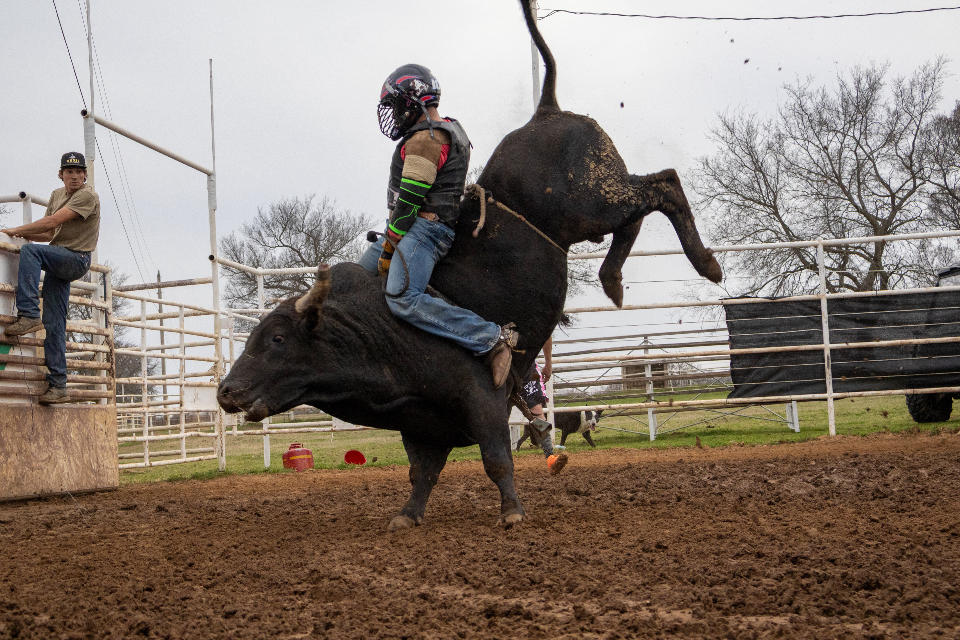 Eight Seconds. Lauren Sicking