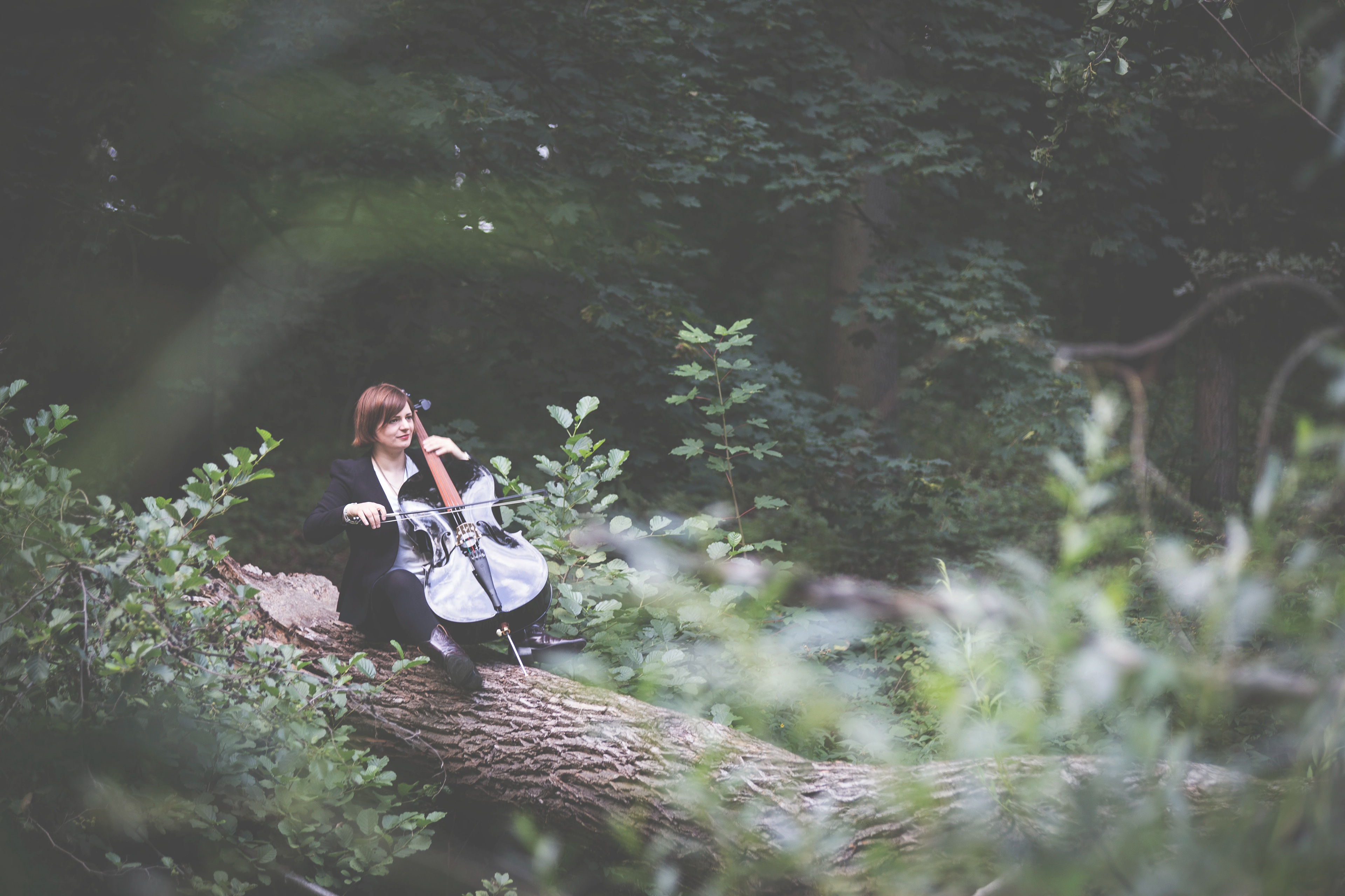 Cello in der Natur