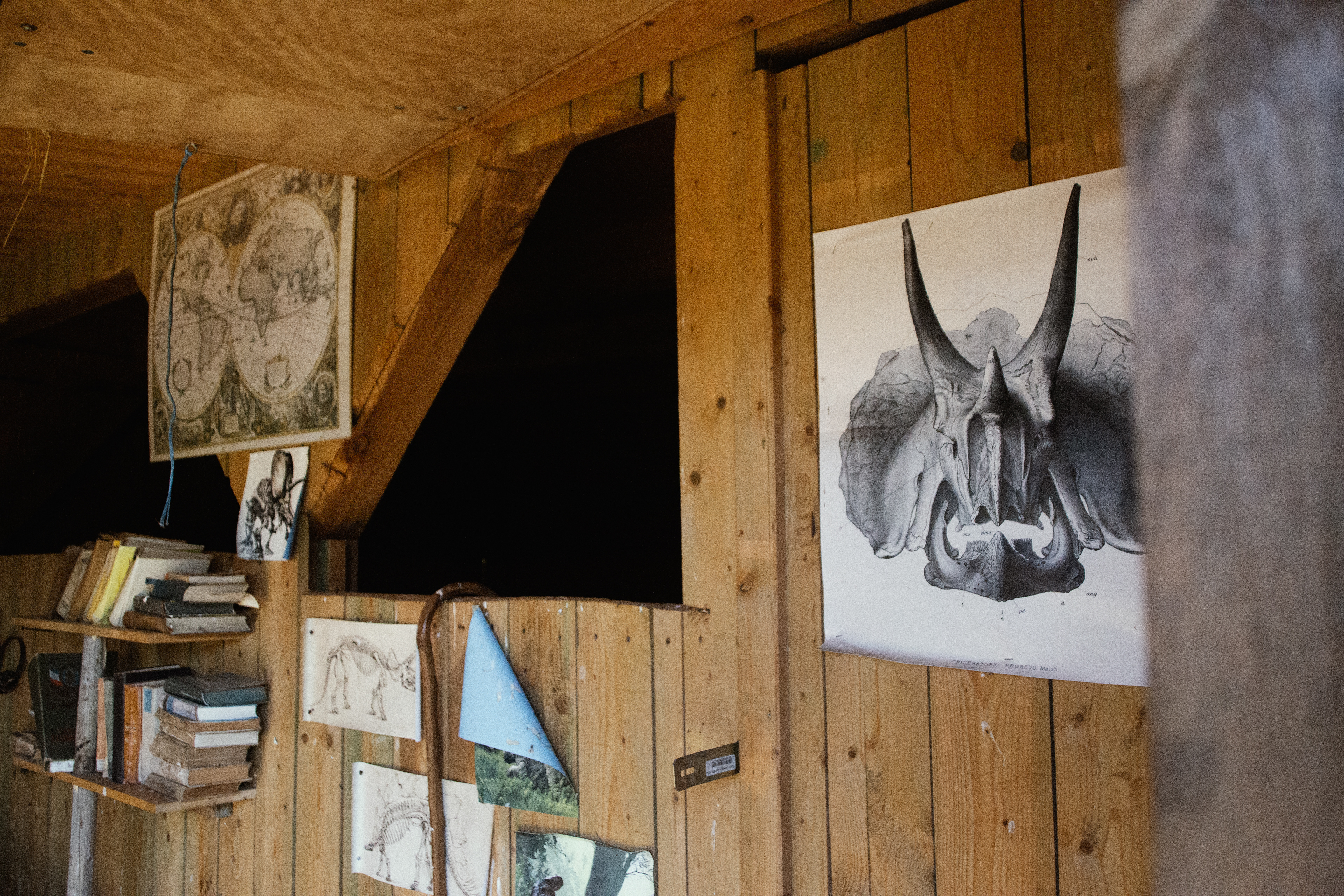 Dinosaurier Forscherhütte
