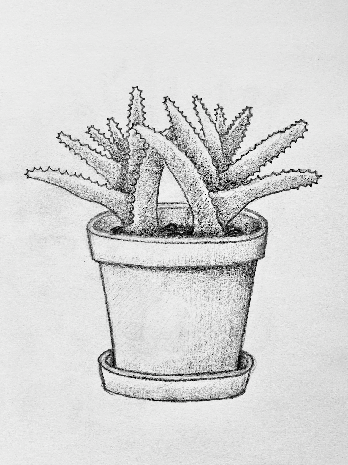 VIS 80 - Object from Memory