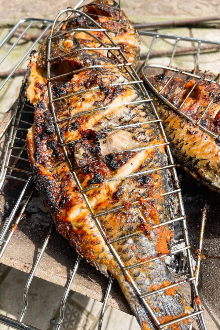 Grilled Tilapia